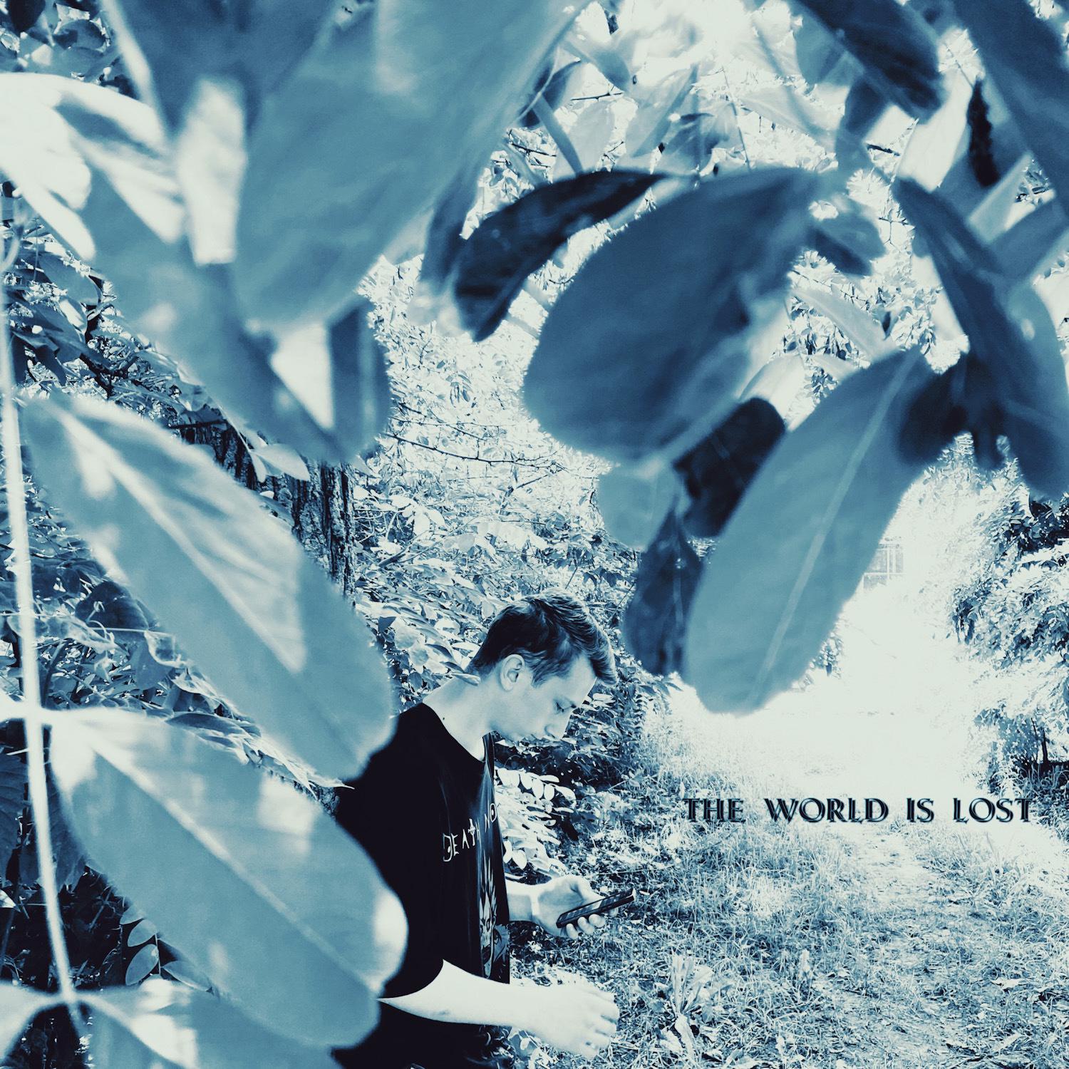Постер альбома The World Is Lost