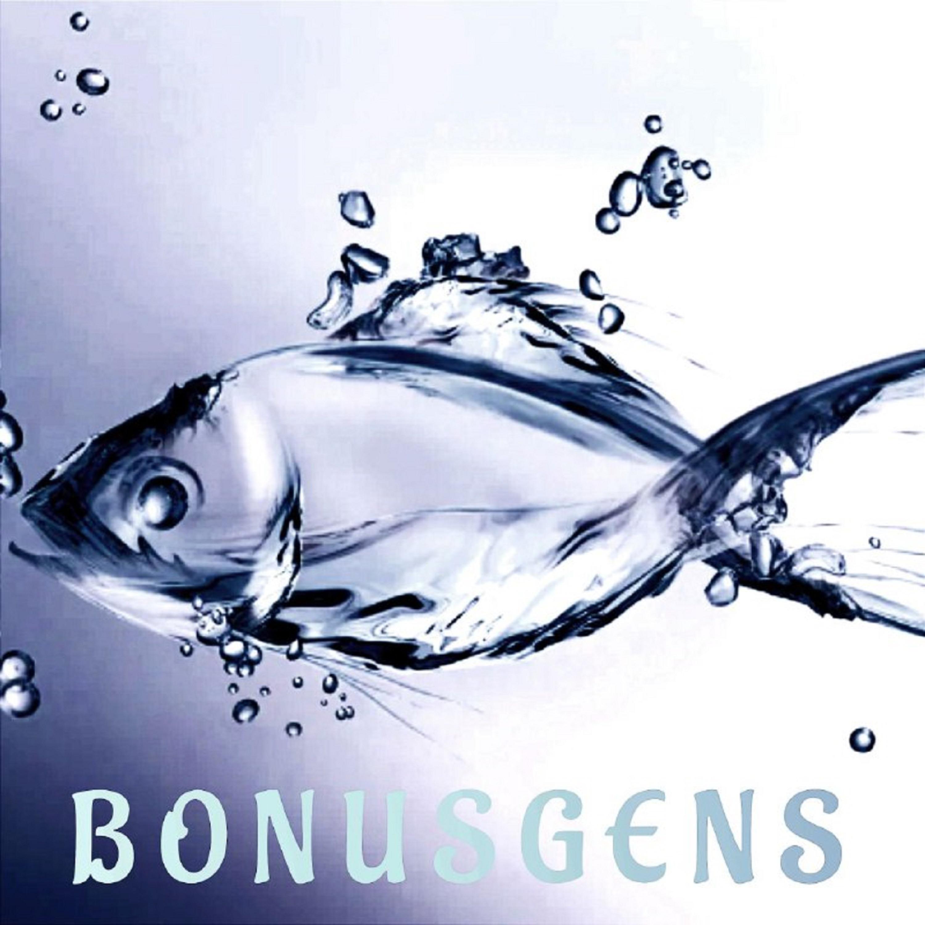 Постер альбома Bonusgens