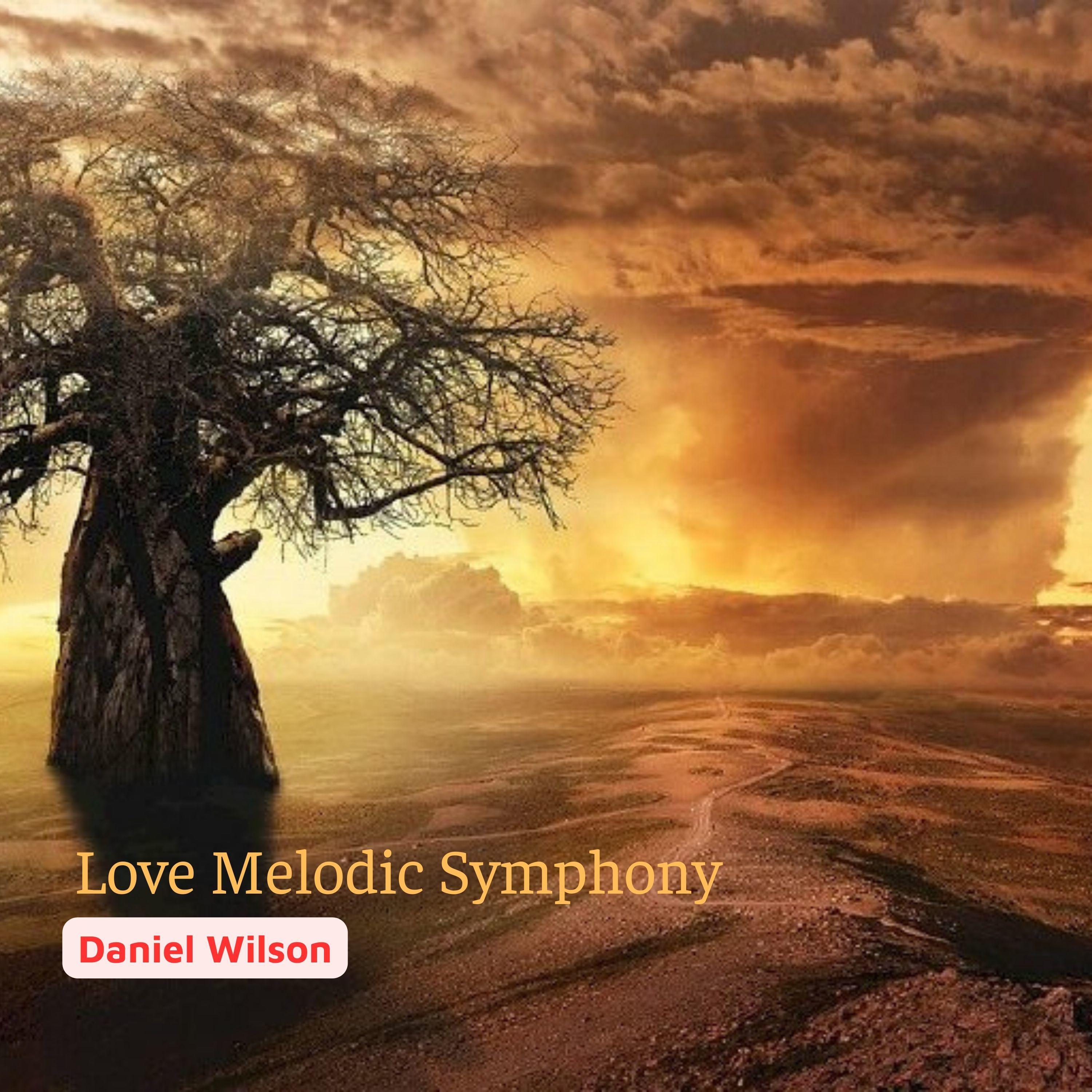 Постер альбома Love Melodic Symphony