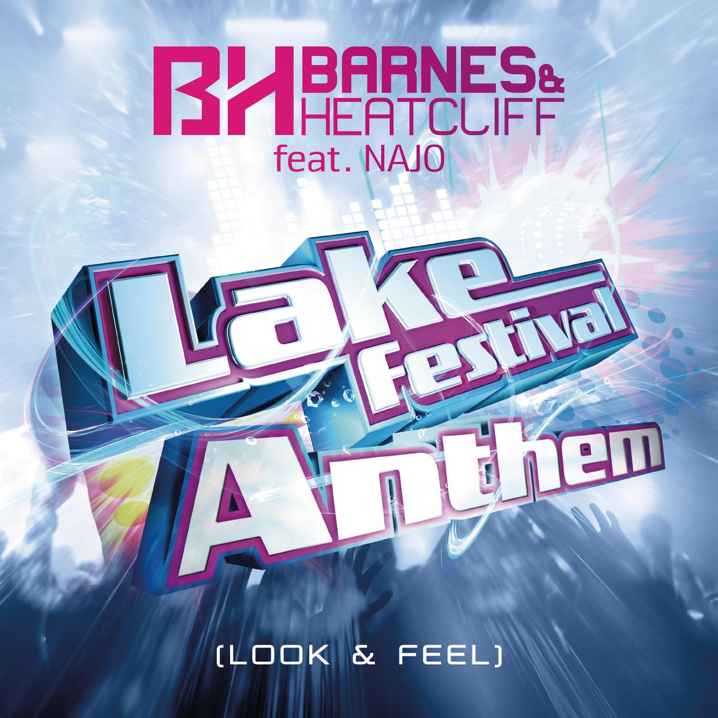 Постер альбома Lake Festival Anthem (Look & Feel)