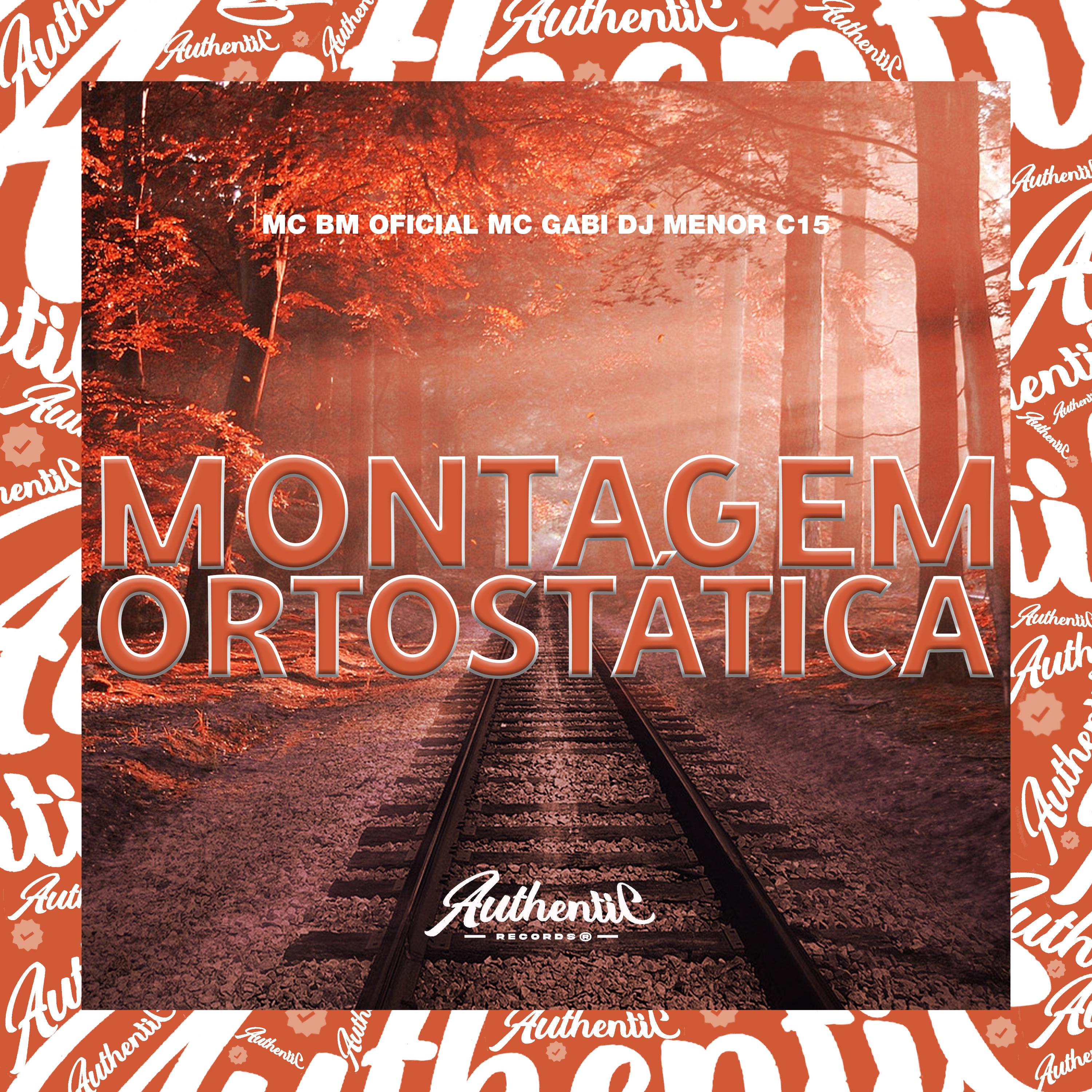 Постер альбома Montagem Ortostática