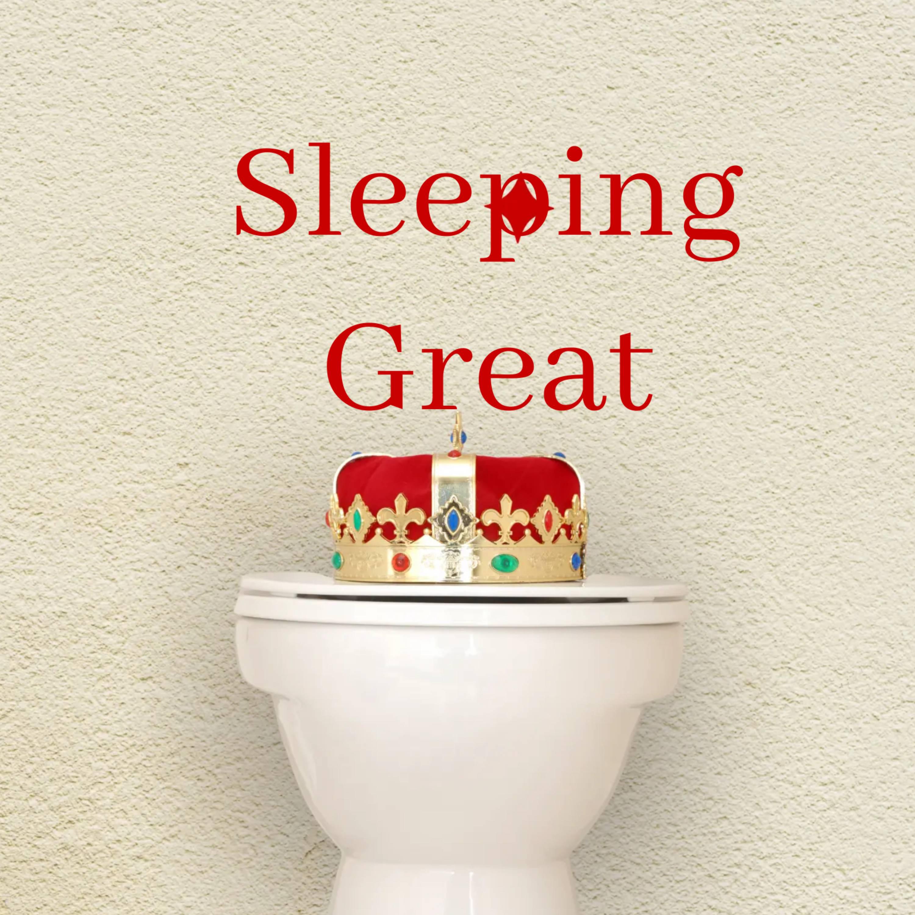 Постер альбома Sleeping Great