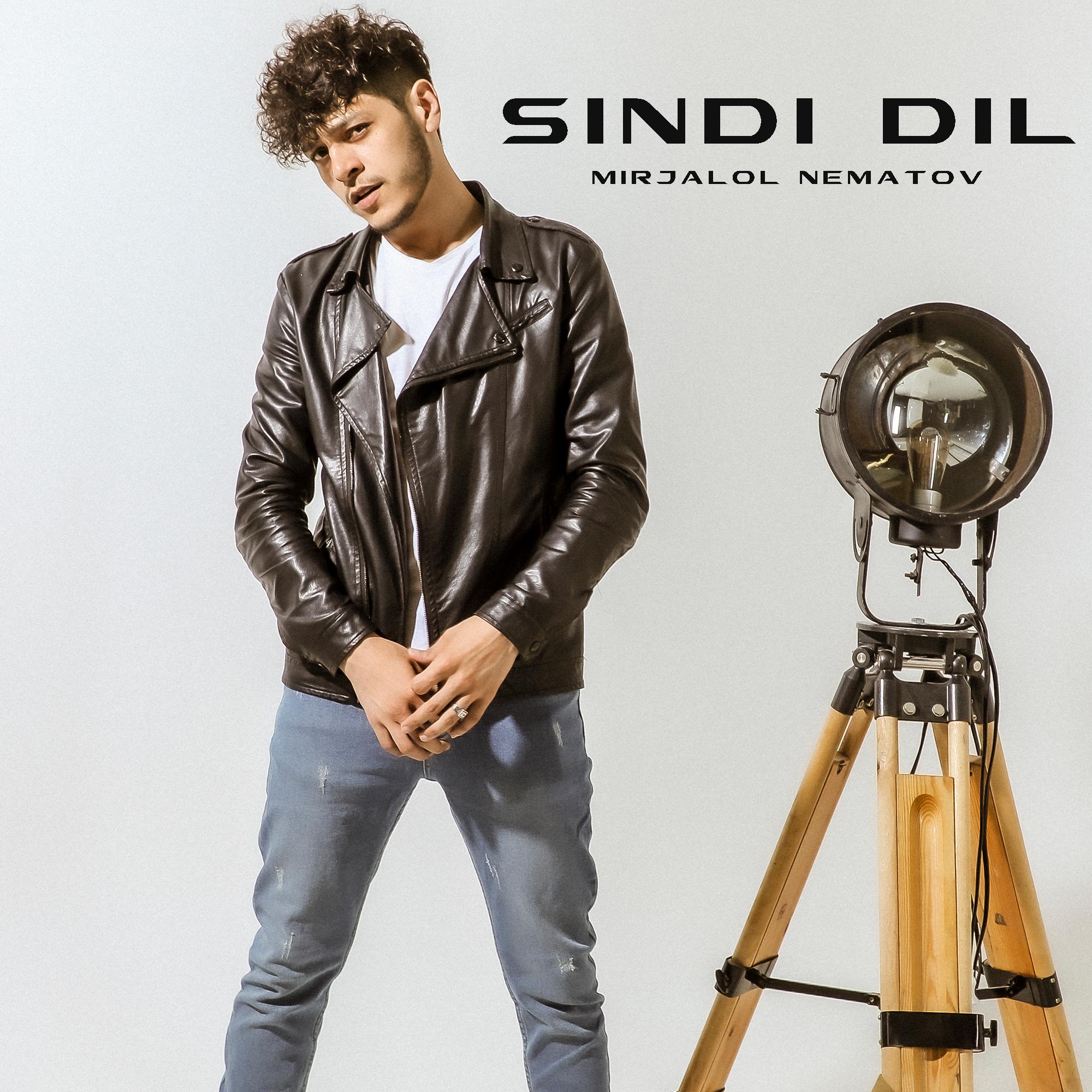 Постер альбома Sindi Dil