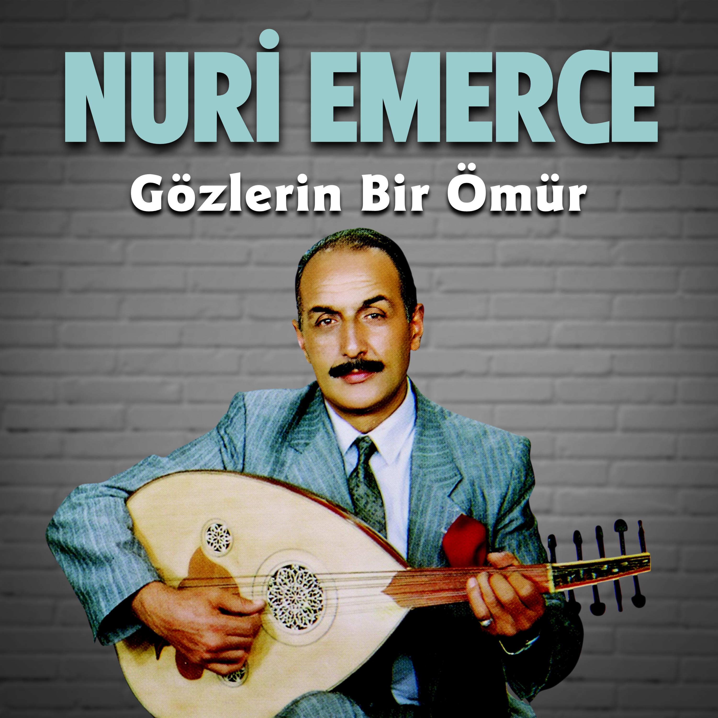 Постер альбома Gözlerin Bir Ömür