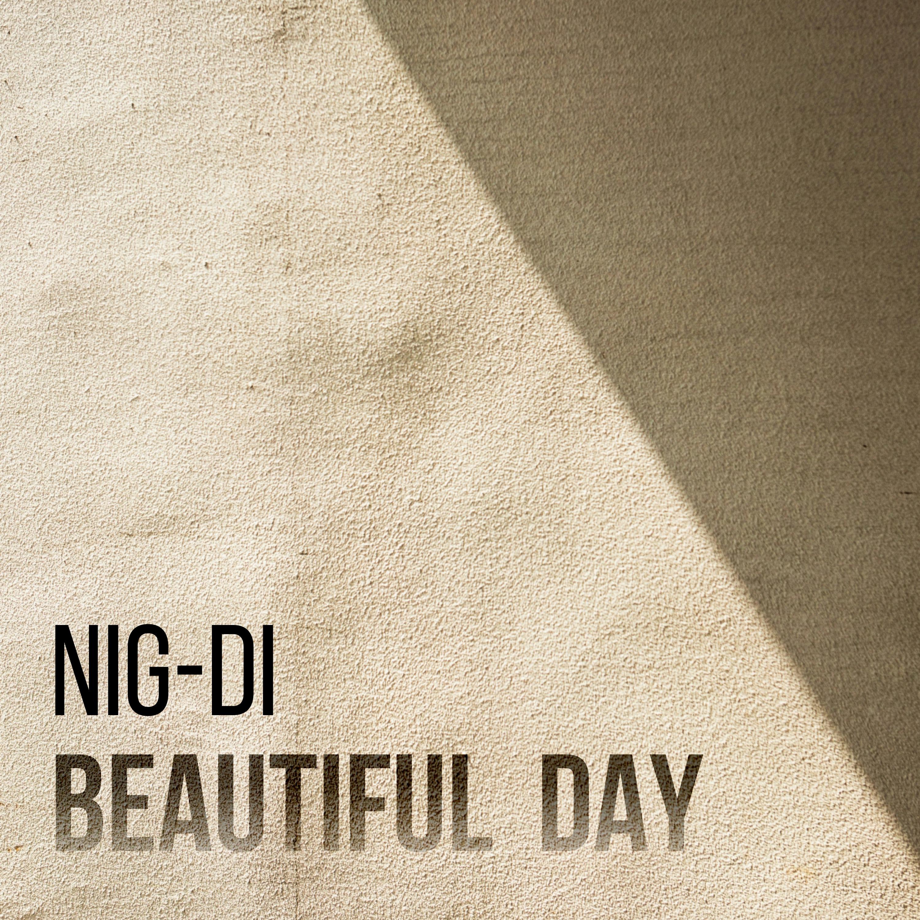 Постер альбома Beautiful Day