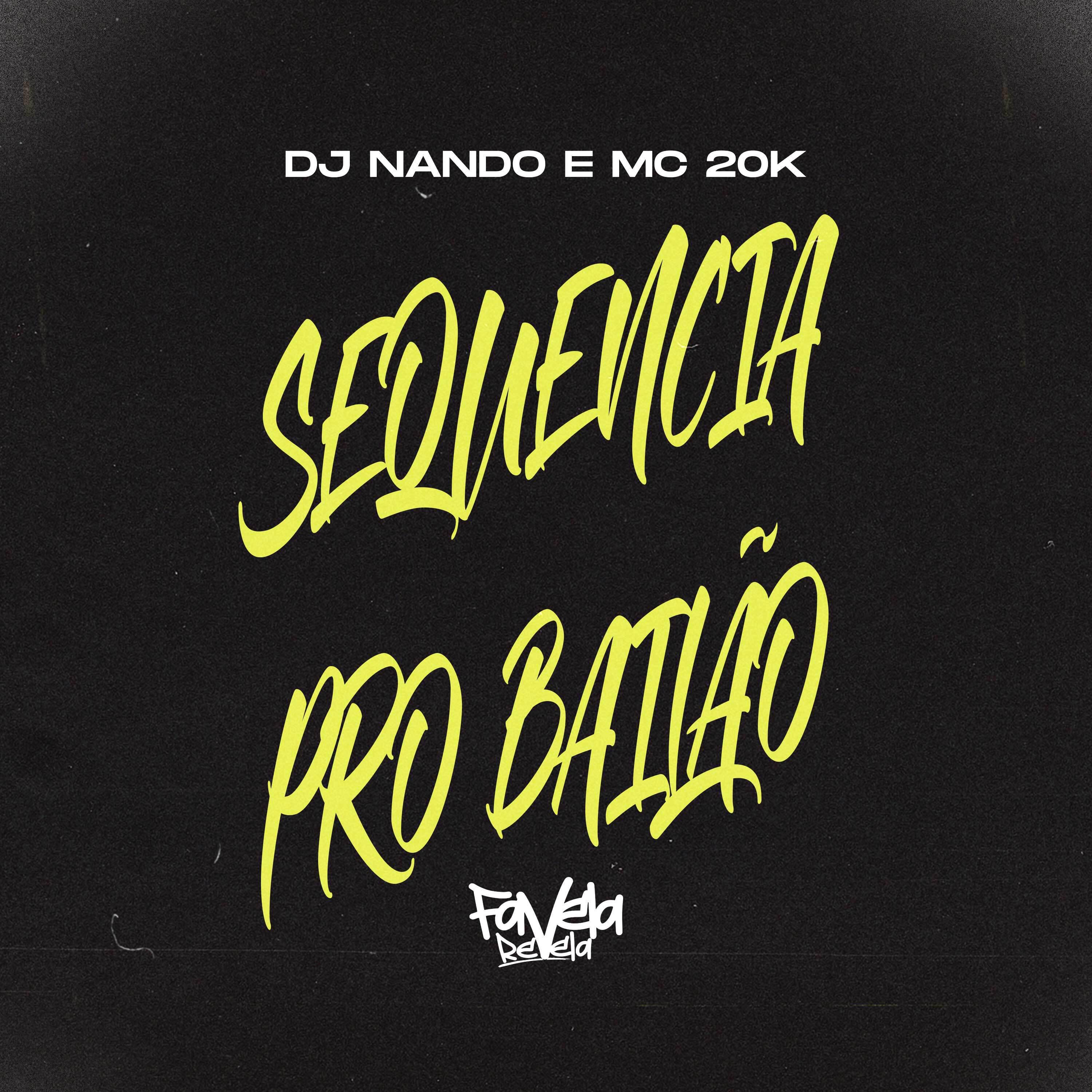 Постер альбома Sequencia pro Bailão