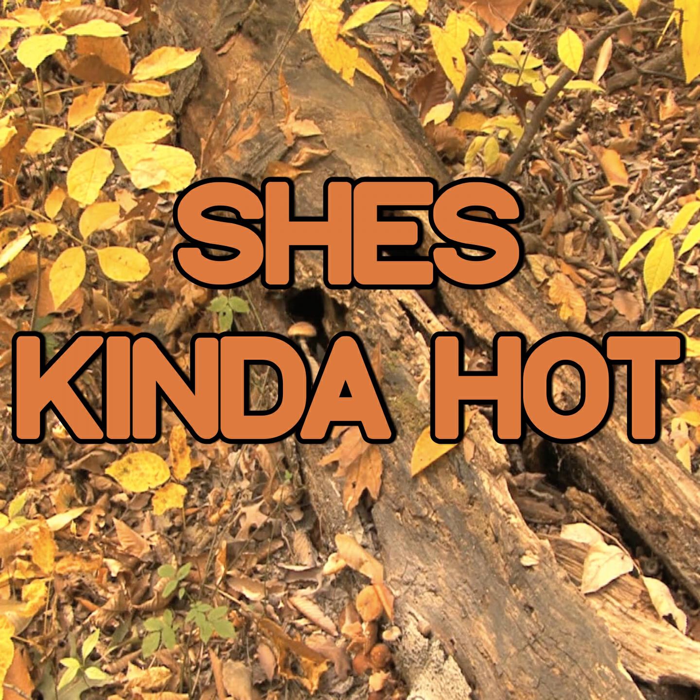 Swift Hits - She's Kinda Hot - Tribute to 5 Seconds Of Summer (Instrumental Version)