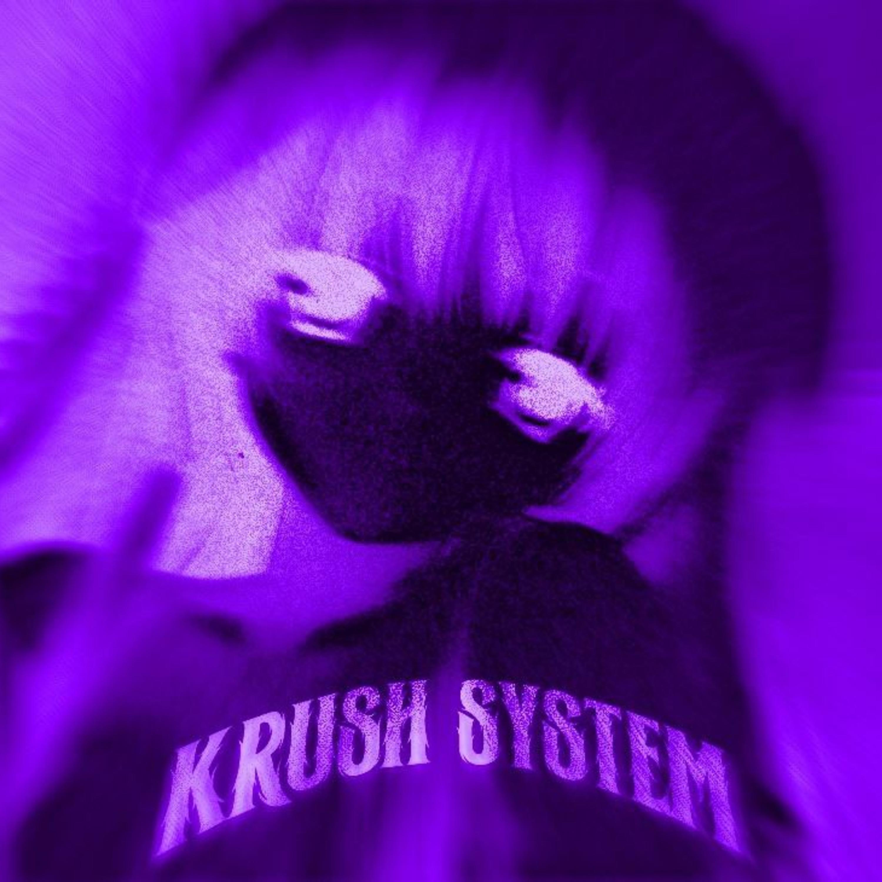 Постер альбома KRUSH SYSTEM