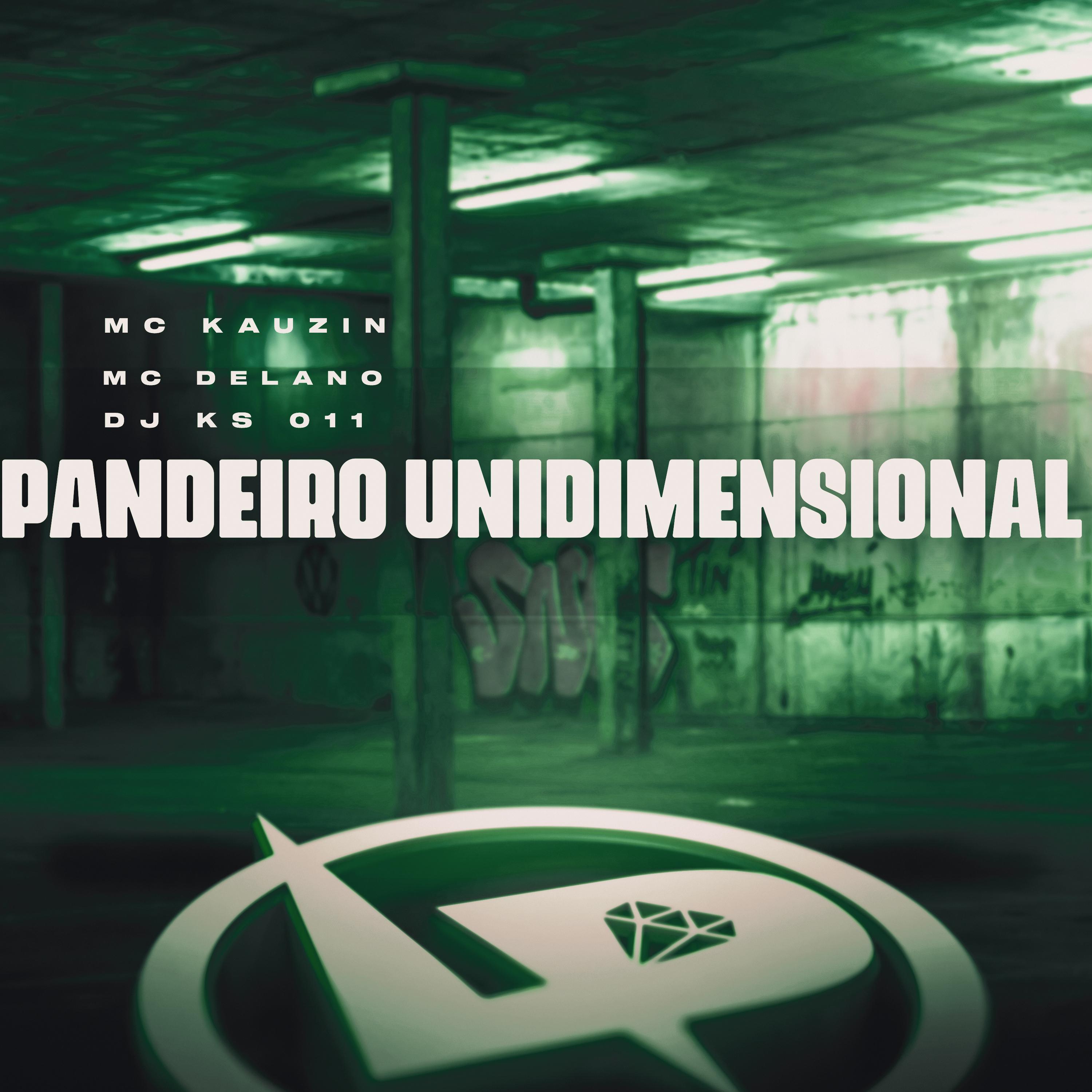 Постер альбома Pandeiro Unidimensional