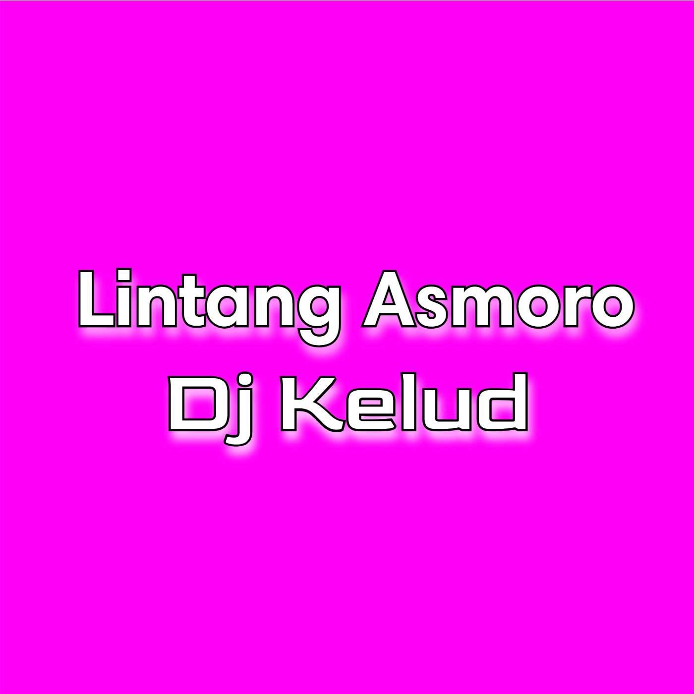 Постер альбома DJ LINTANG ASMORO