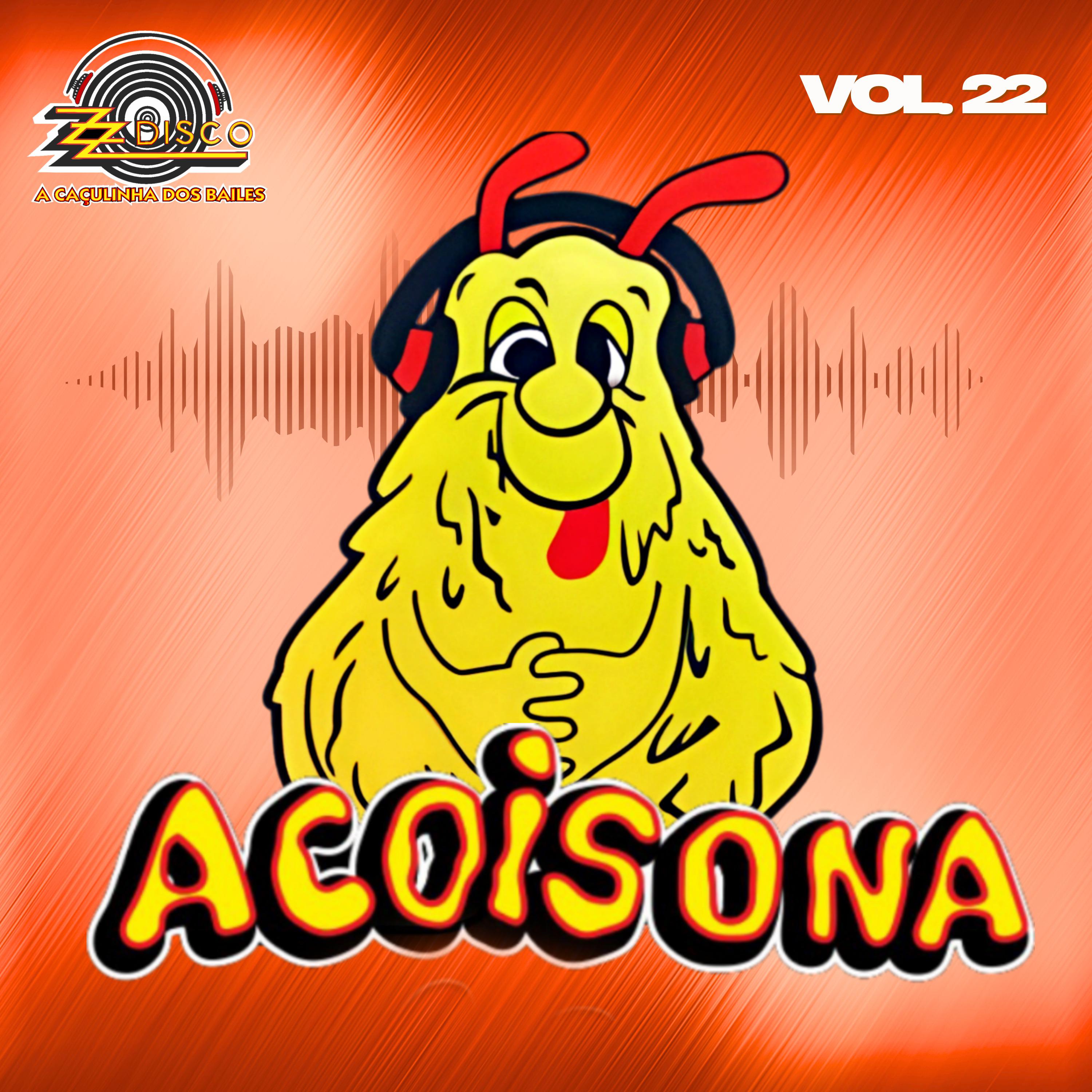 Постер альбома Acoisona, Vol. 22