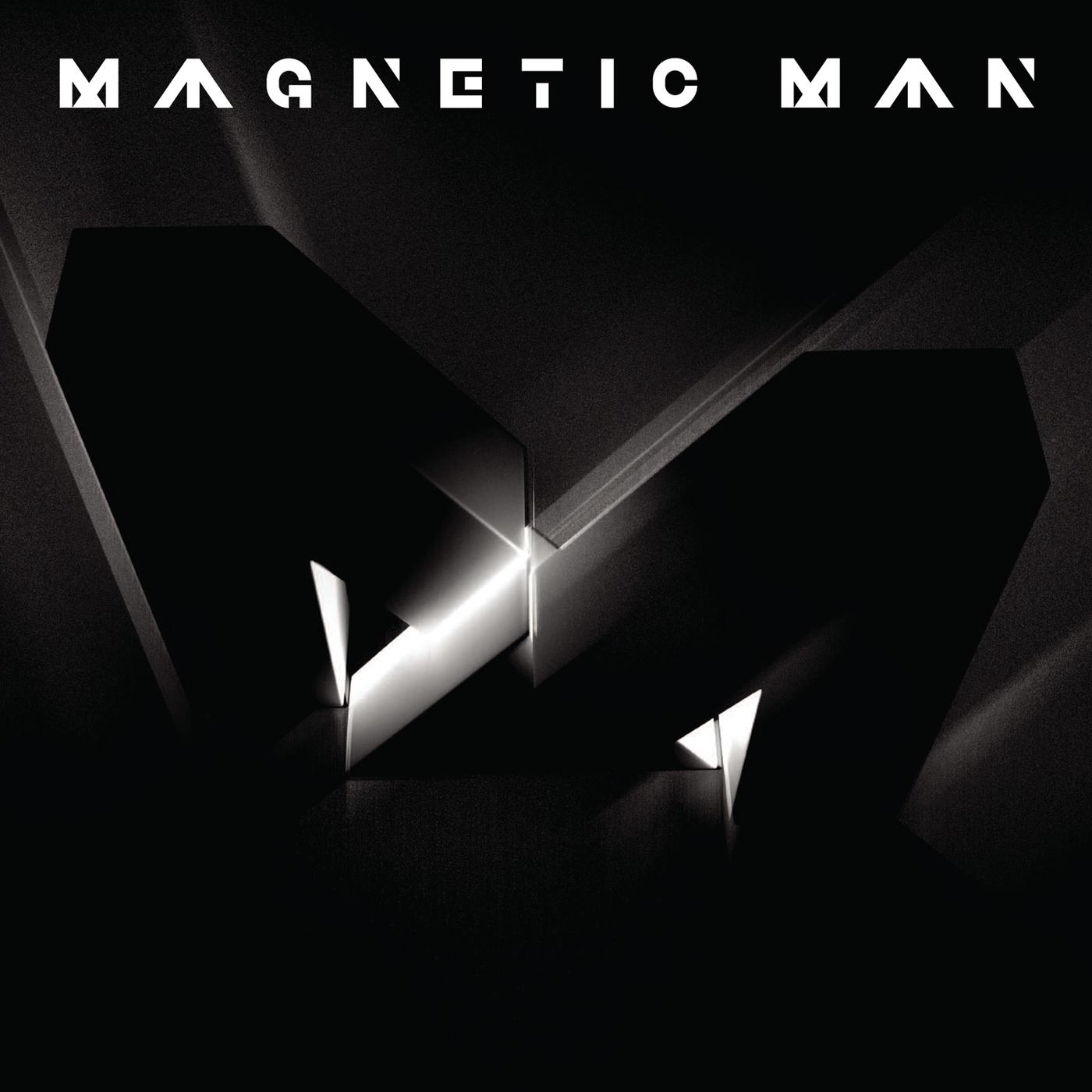 Magnetic Man - Perfect Stranger