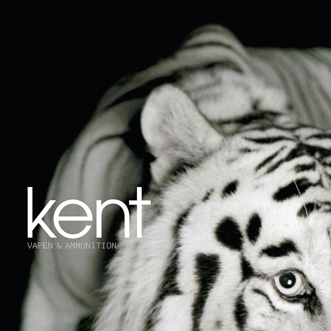 Kent - Elite