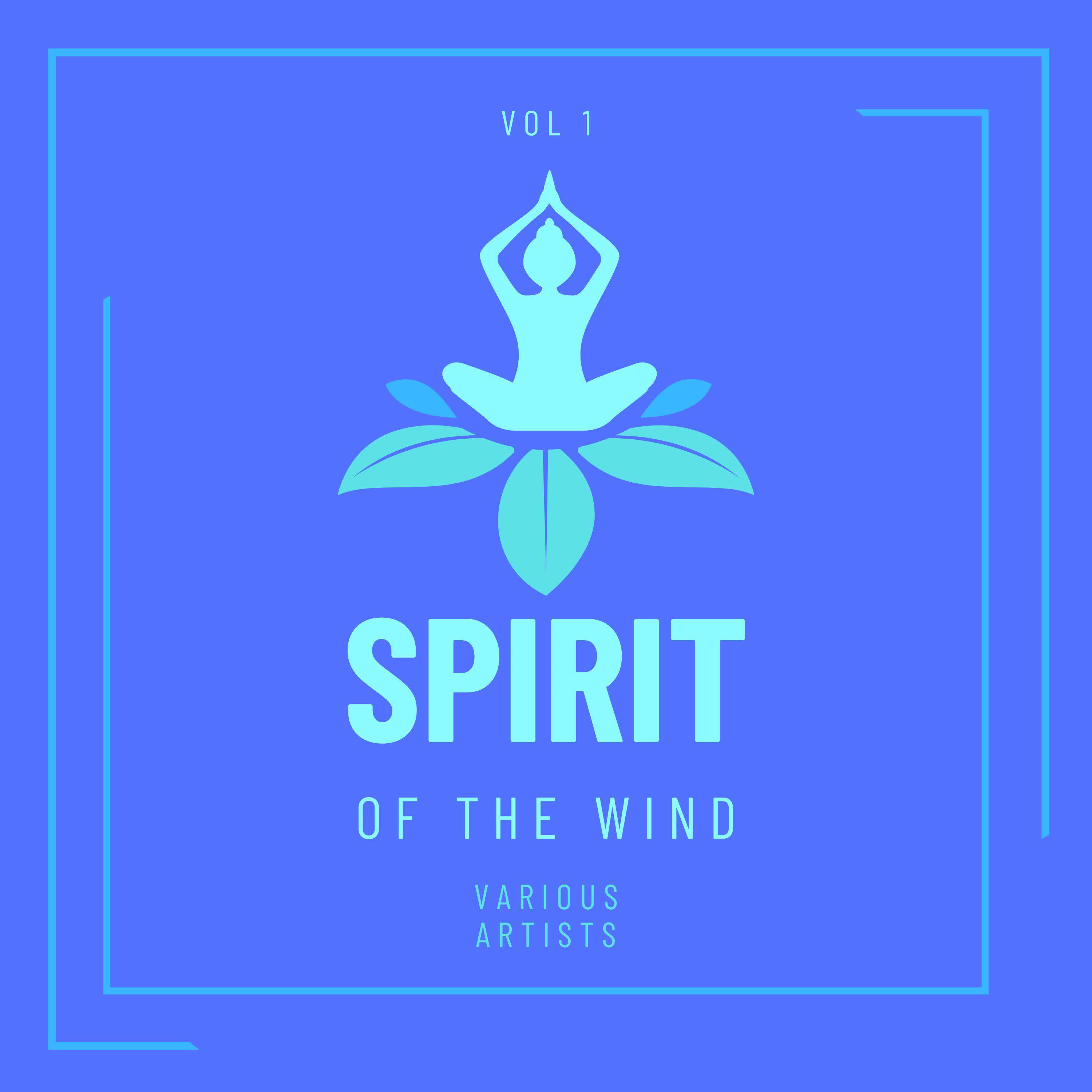 Постер альбома Spirit Of The Wind, Vol. 1