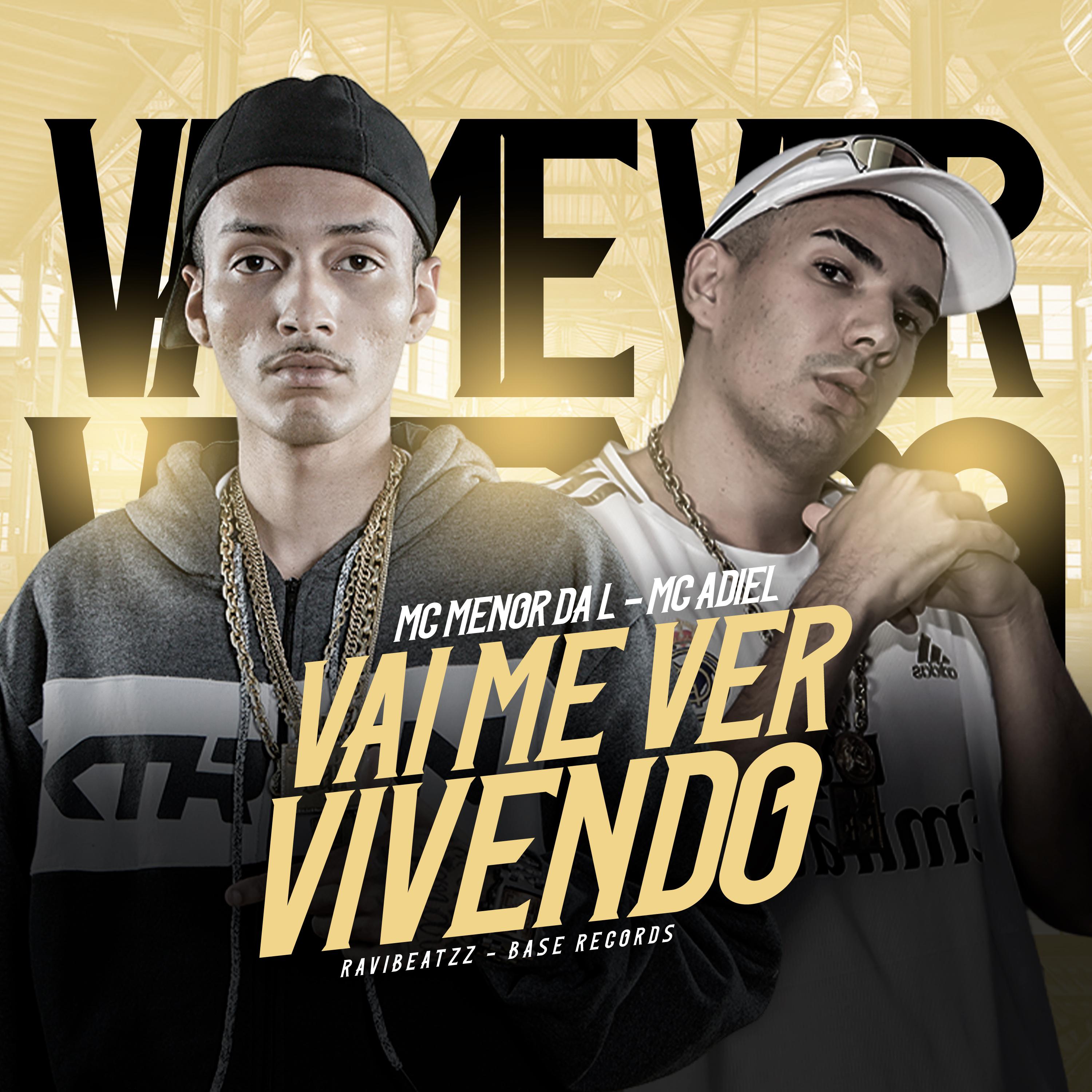Постер альбома Vai Me Ver Vivendo