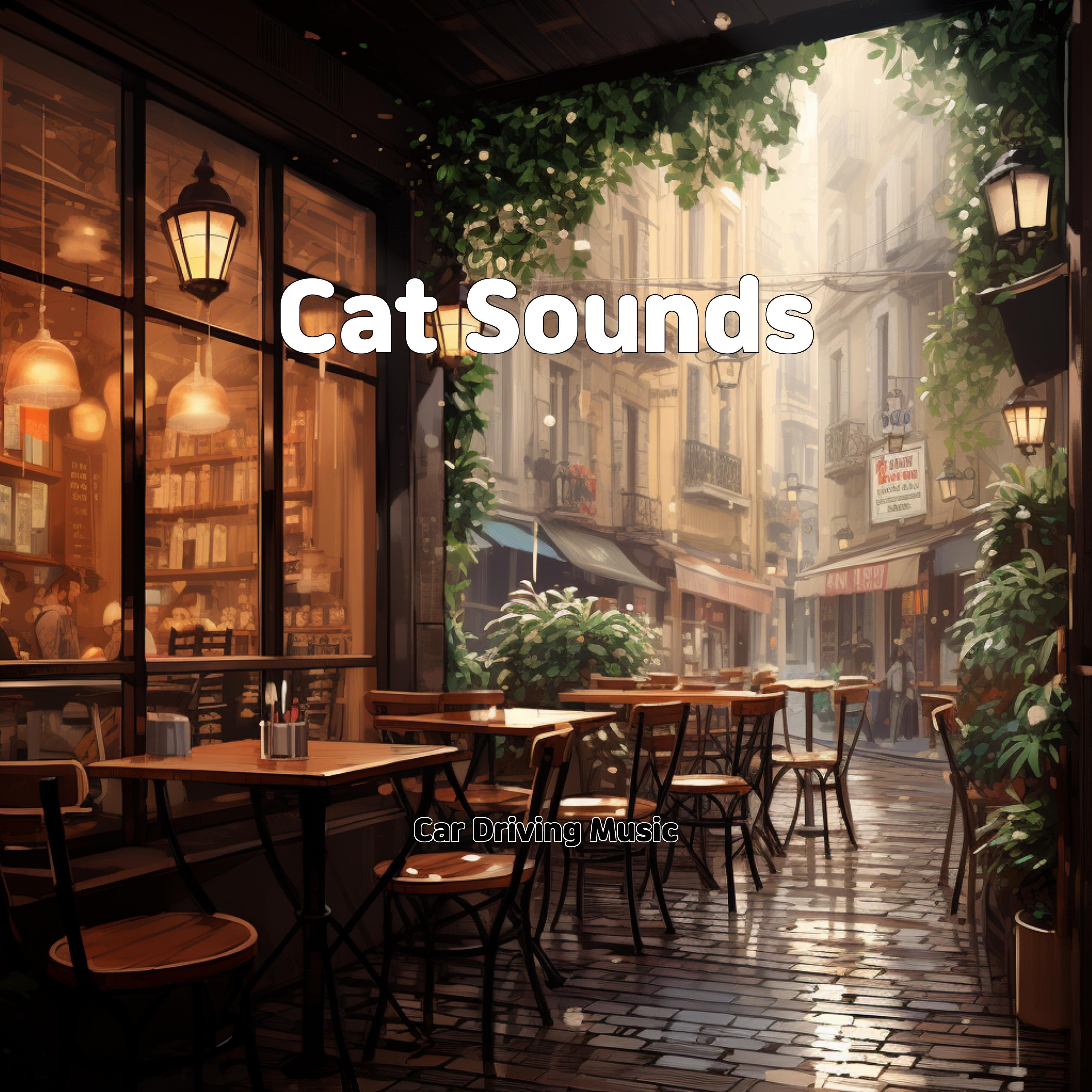 Постер альбома Cat Sounds