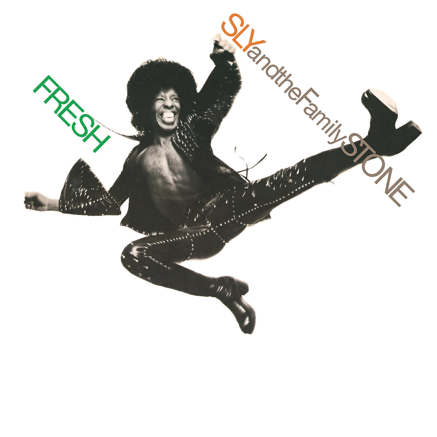 Sly & The Family Stone - If It Were Left Up to Me (Single Master)