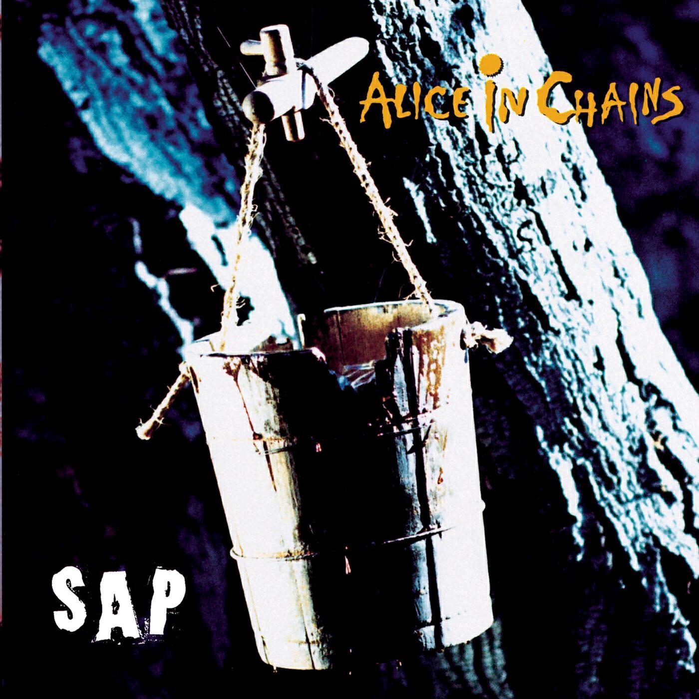 Alice In Chains - Got Me Wrong