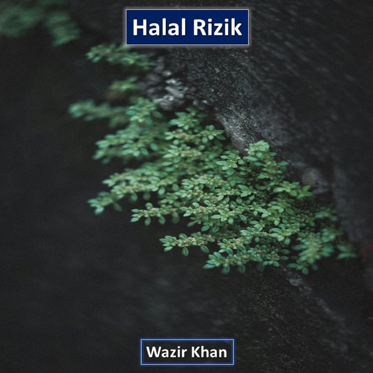 Постер альбома Halal Rizik
