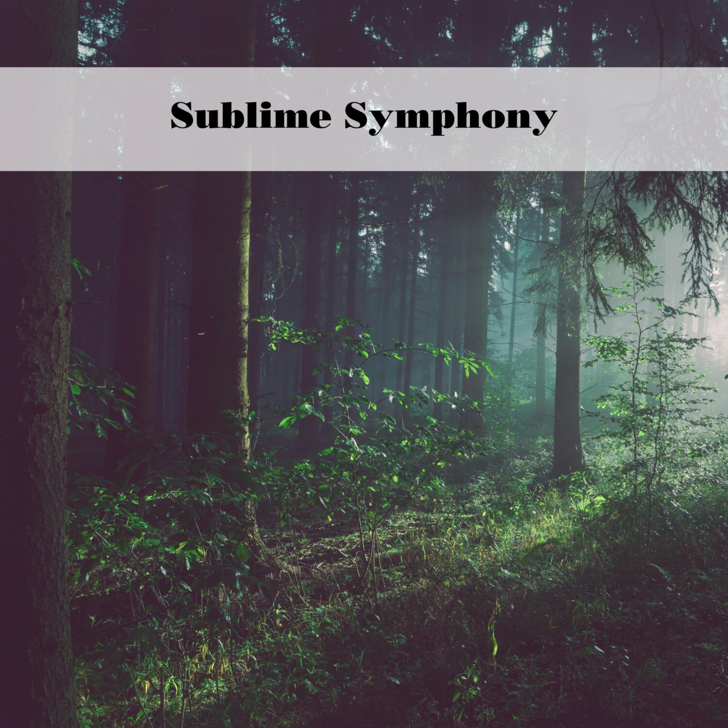 Постер альбома Sublime Symphony