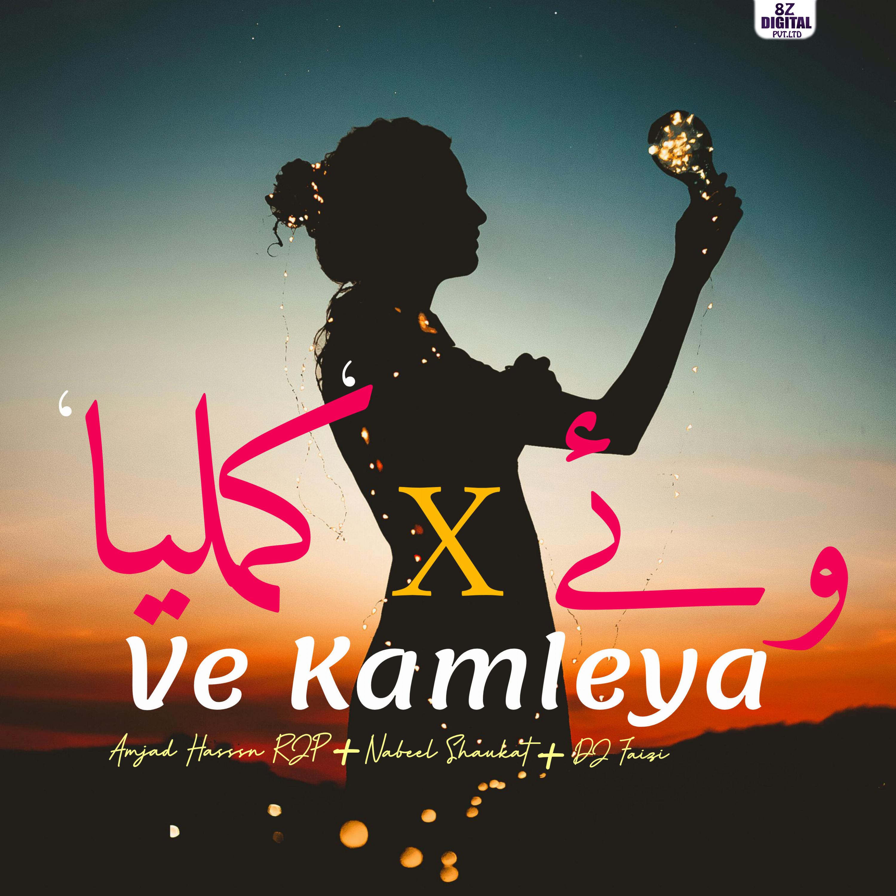 Постер альбома Ve Kamleya