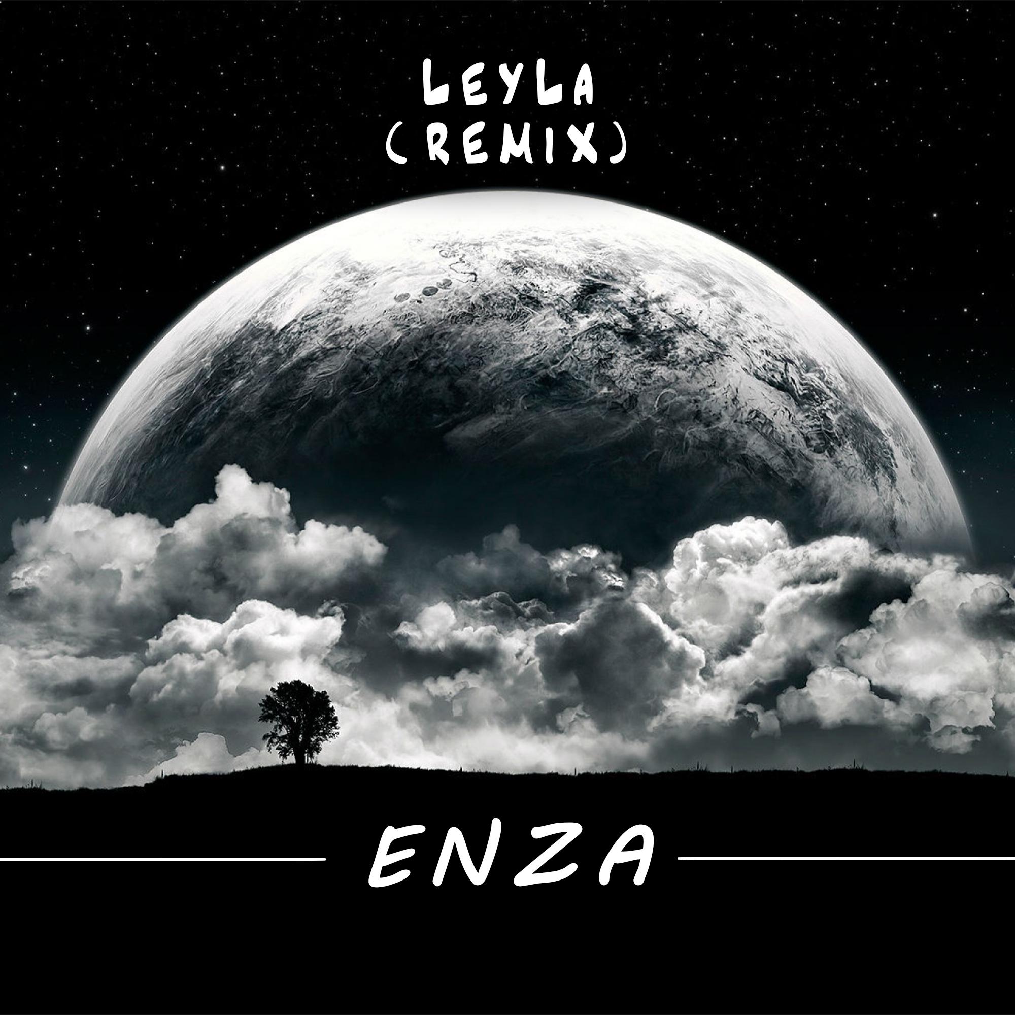 Постер альбома Leyla (Remix)