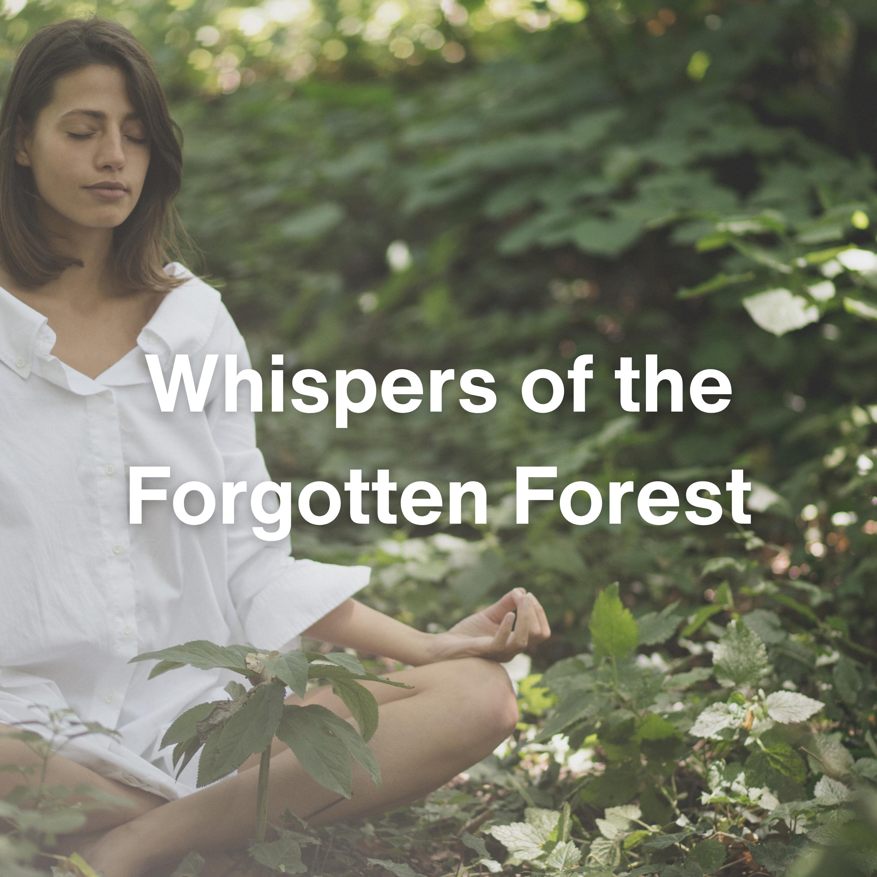 Постер альбома Whispers of the Forgotten Forest