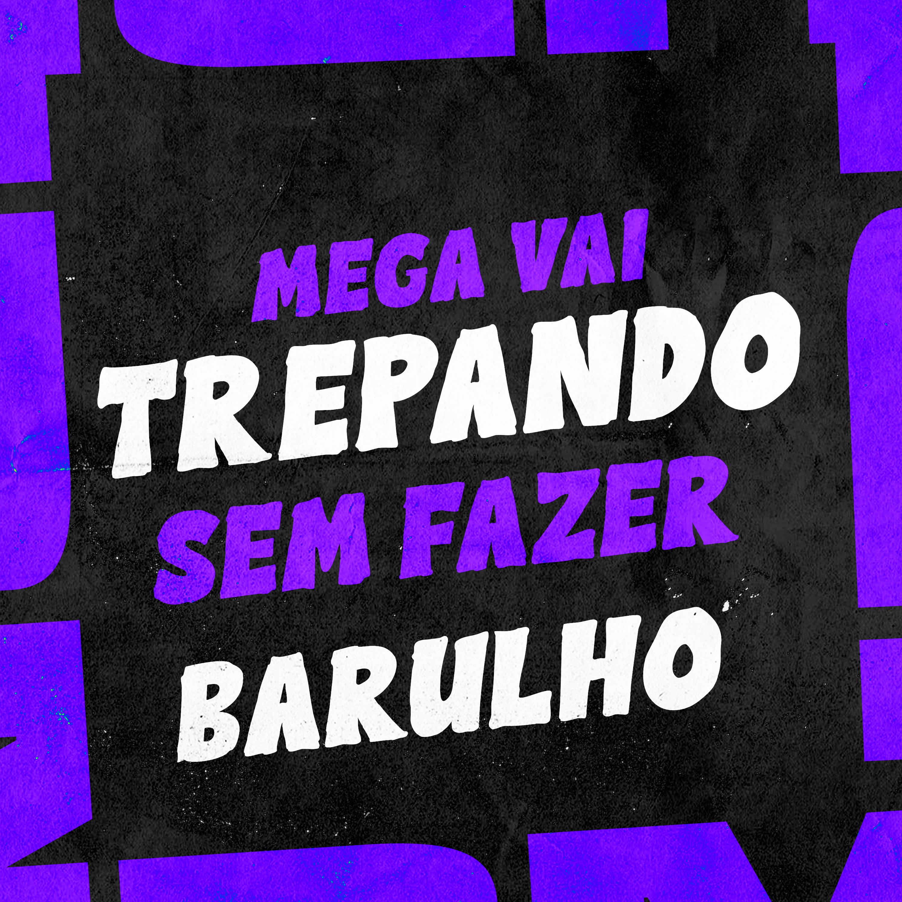 Постер альбома Mega Vai Trepando Sem Fazer Barulho