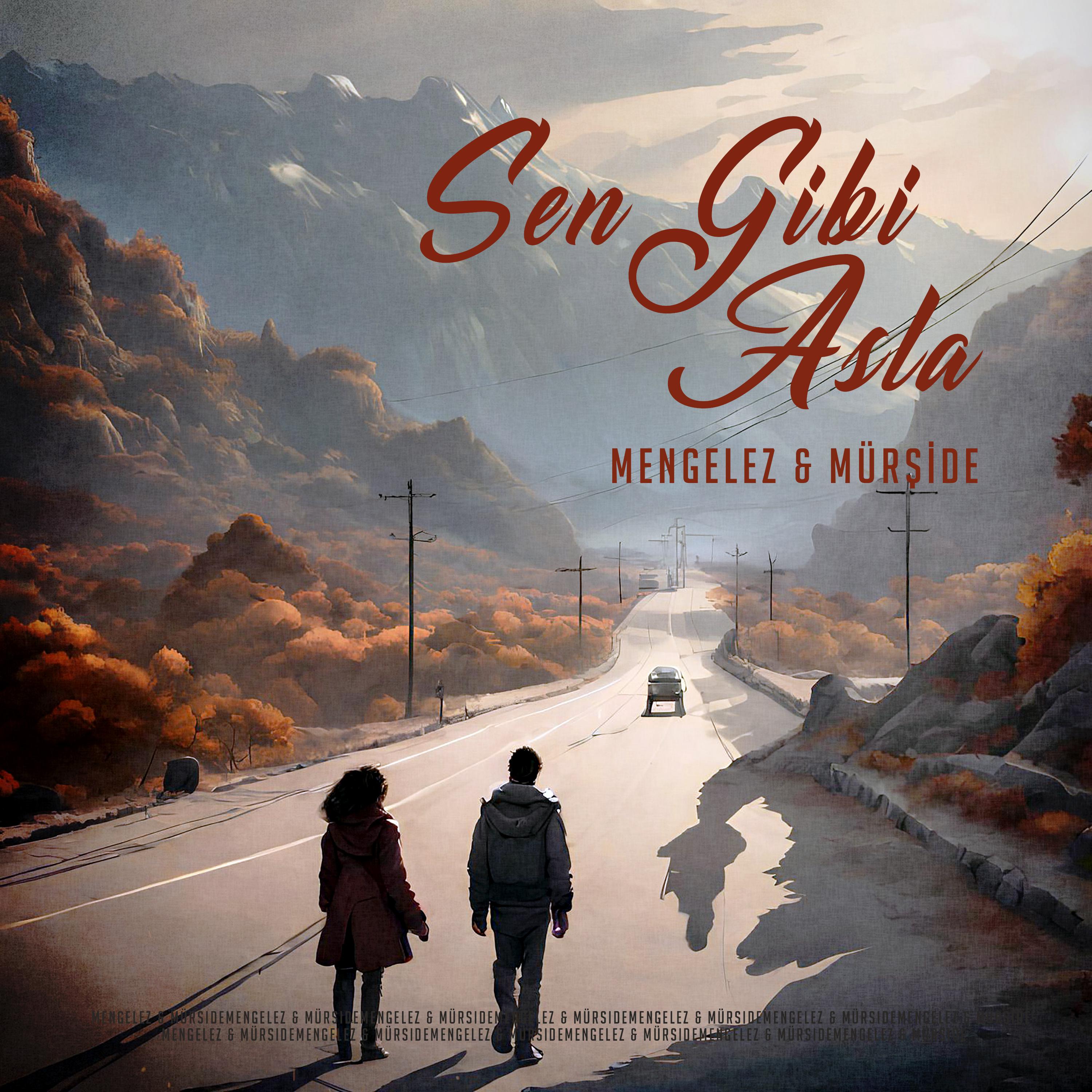 Постер альбома Sen Gibi Asla