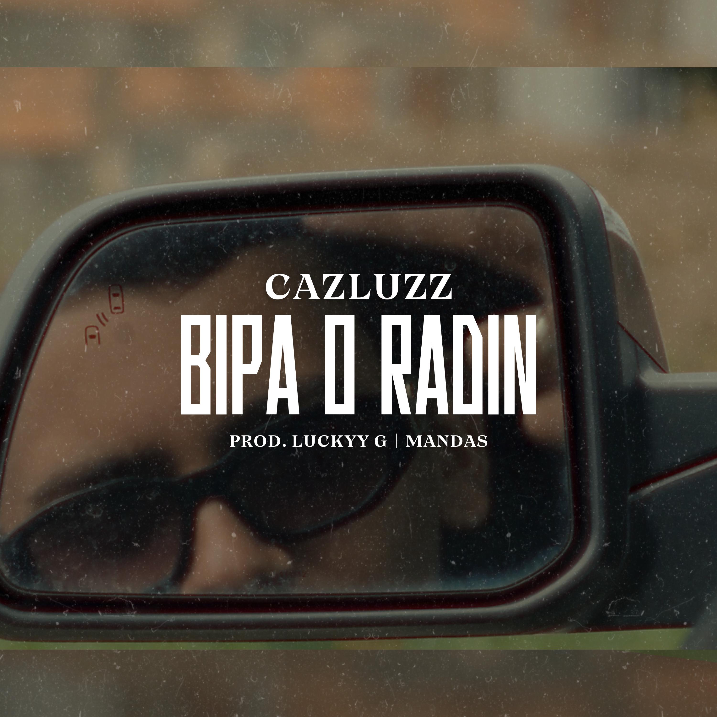 Постер альбома Bipa o Radin