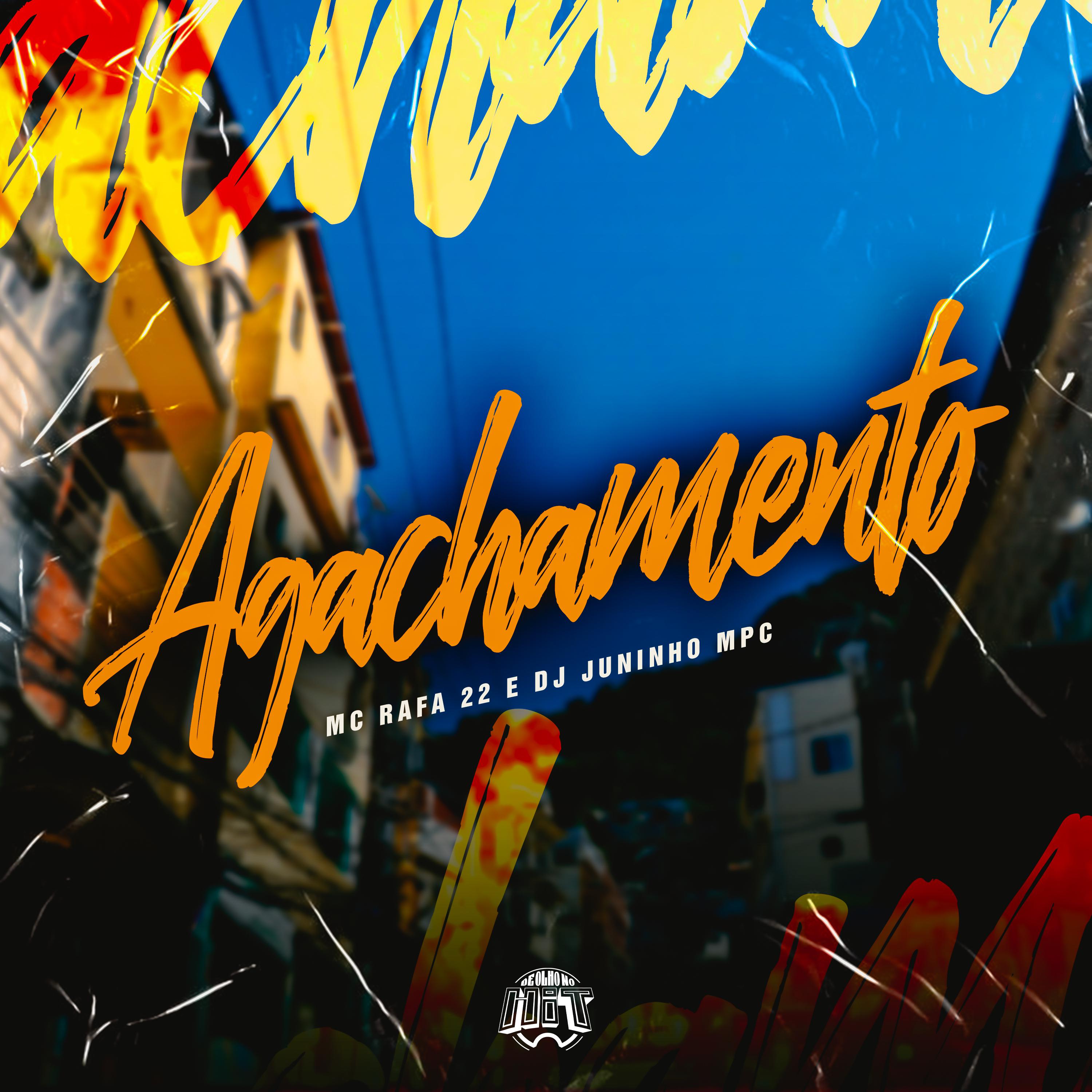 Постер альбома Agachamento
