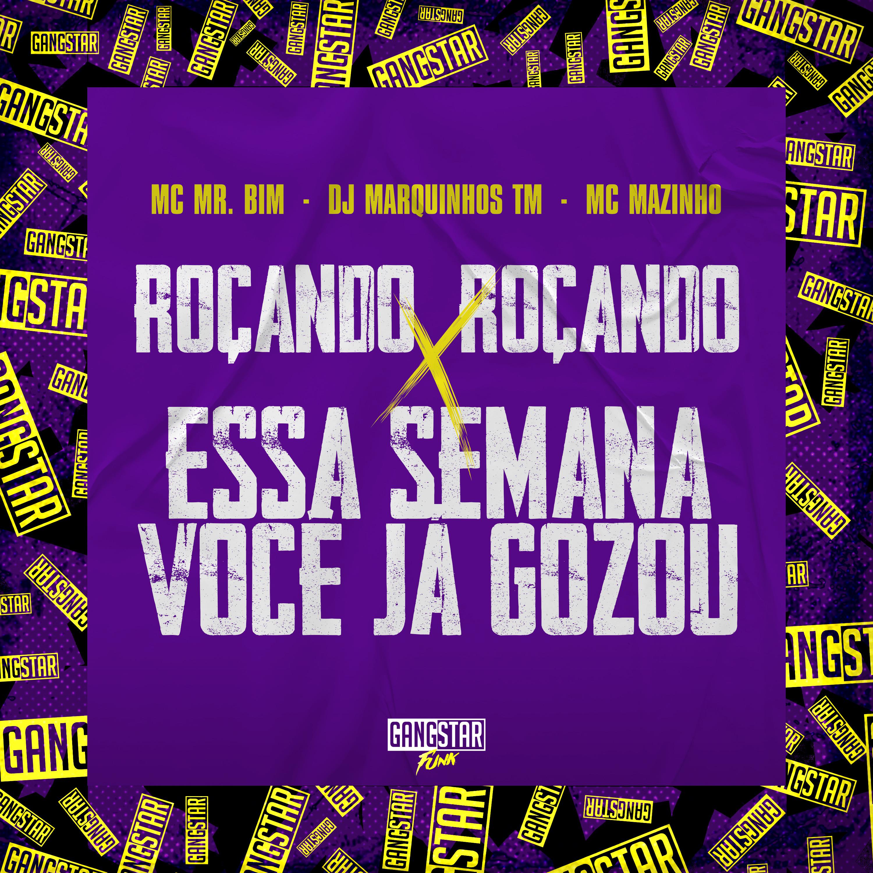 Постер альбома Roçando, Roçando X Essa Semana Você Já Gozou