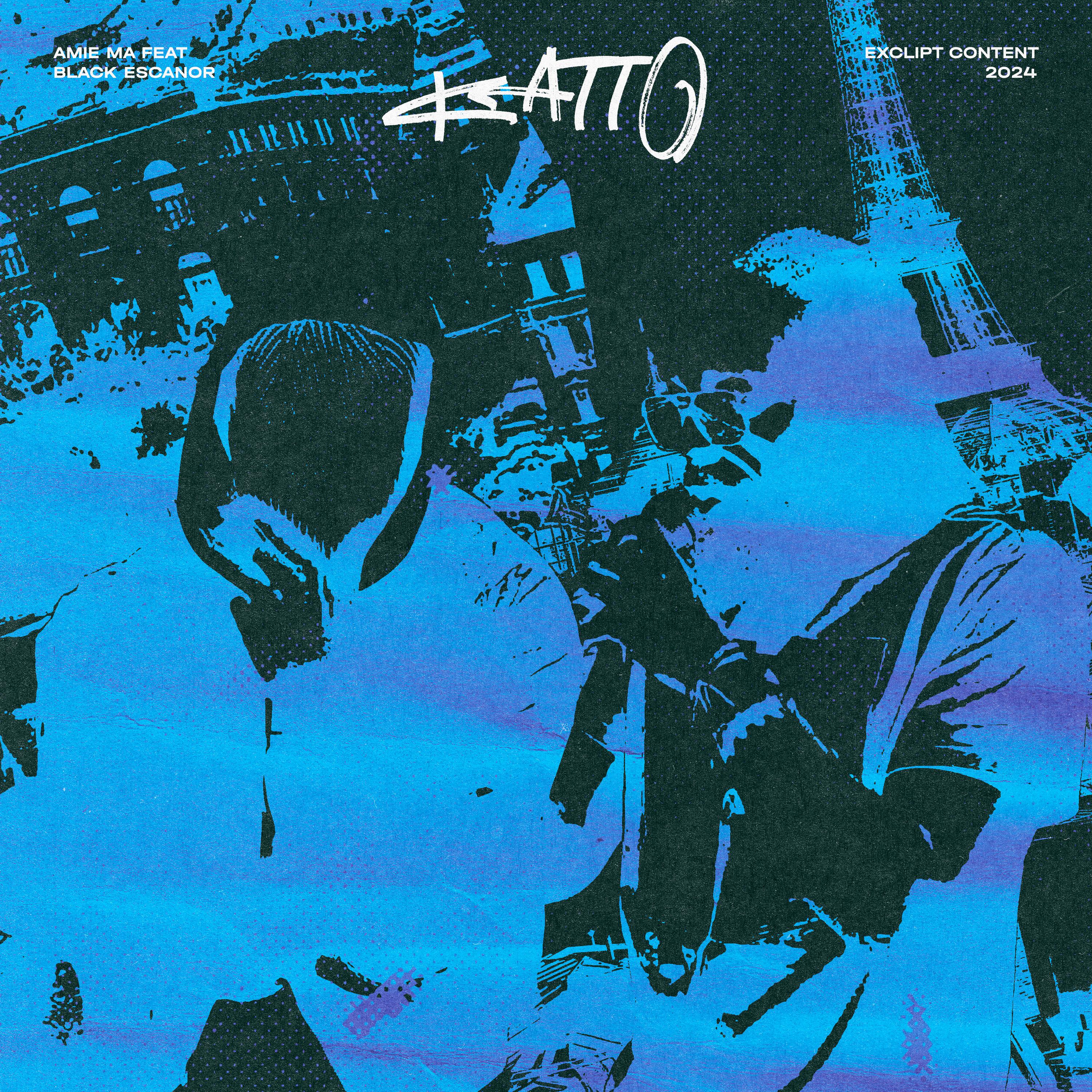Постер альбома Katto