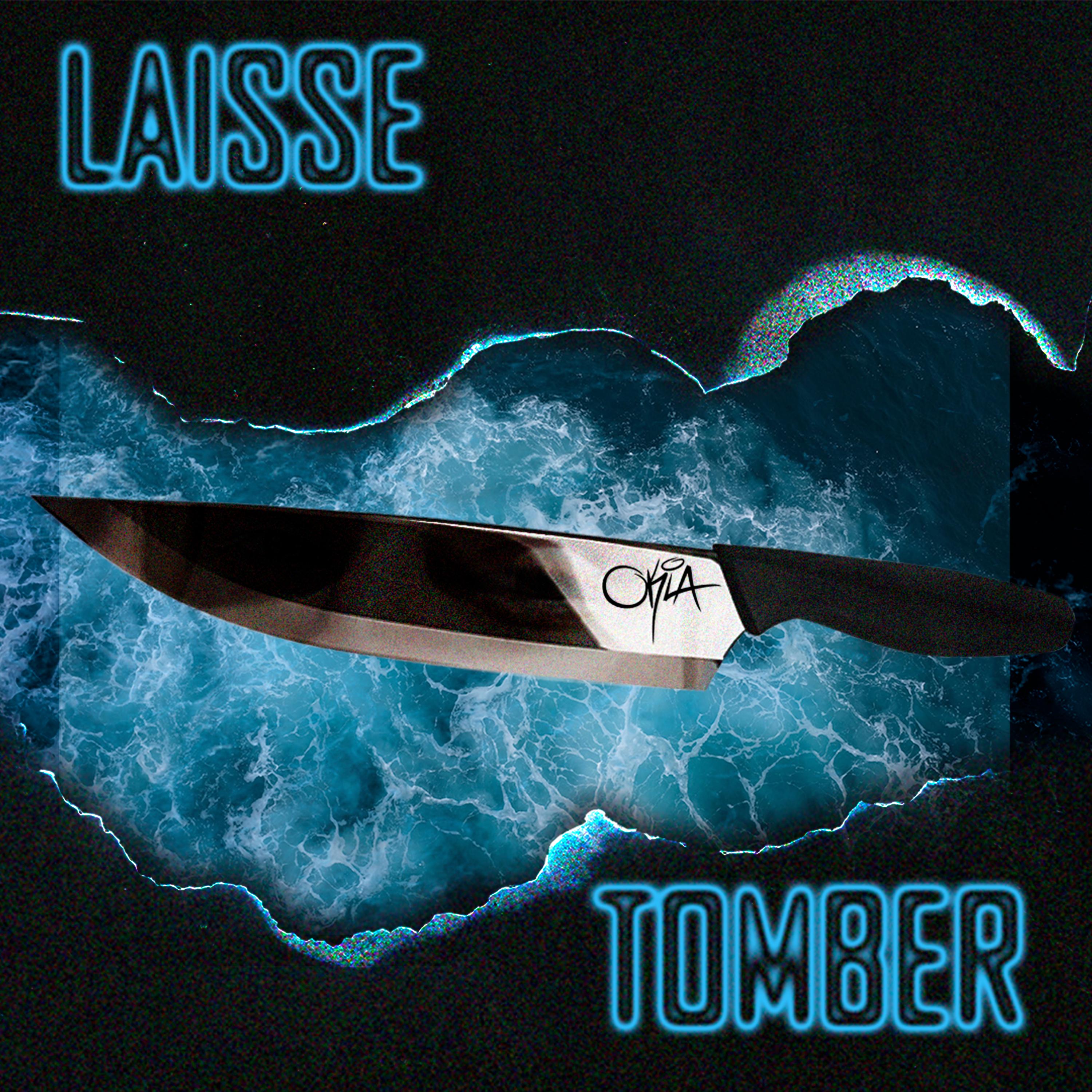 Постер альбома Laisse Tomber