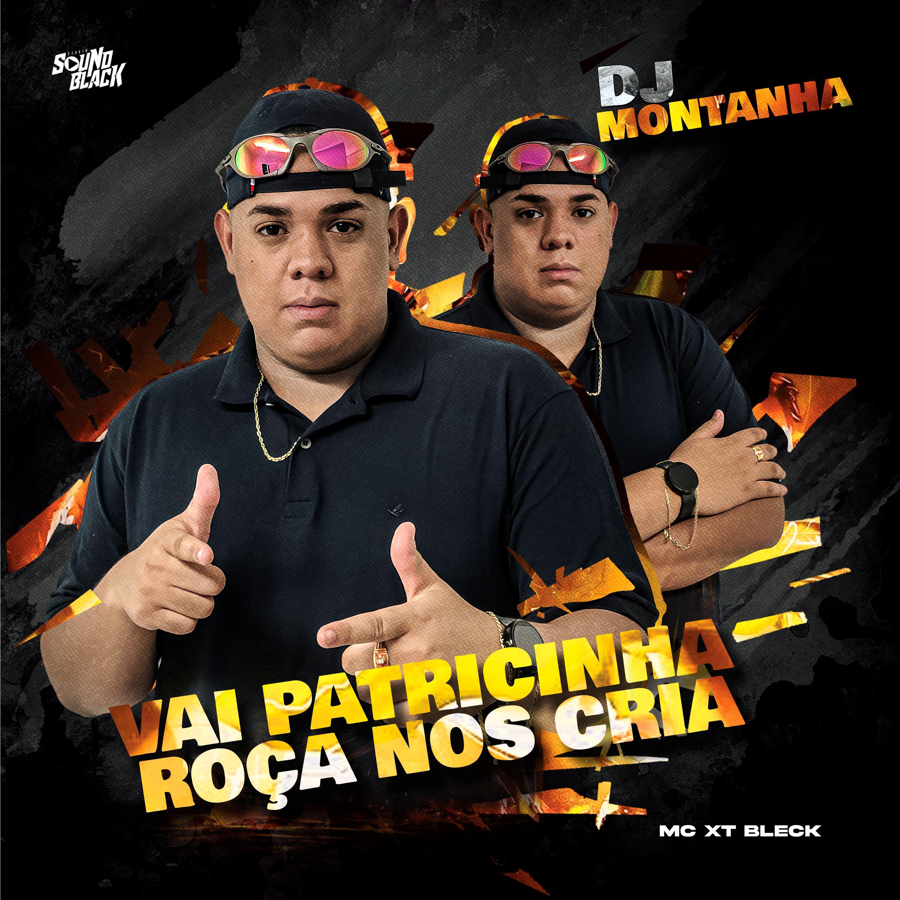 Постер альбома Vai Patricinha Roça nos Cria