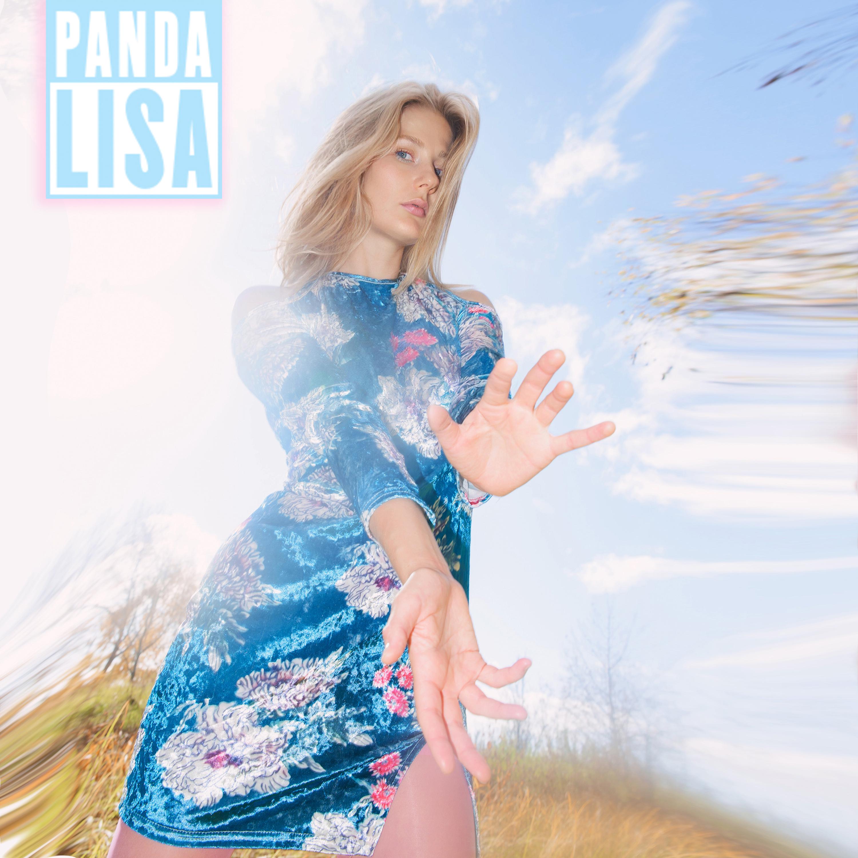 Постер альбома Lisa Panda