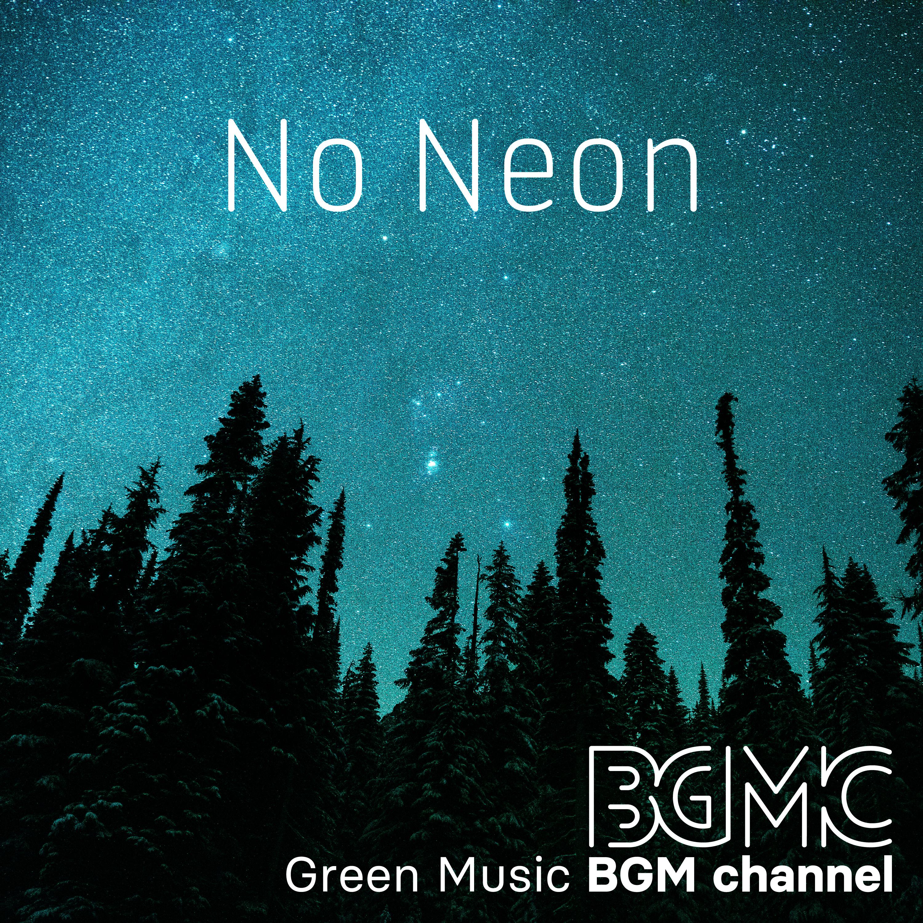 Постер альбома No Neon