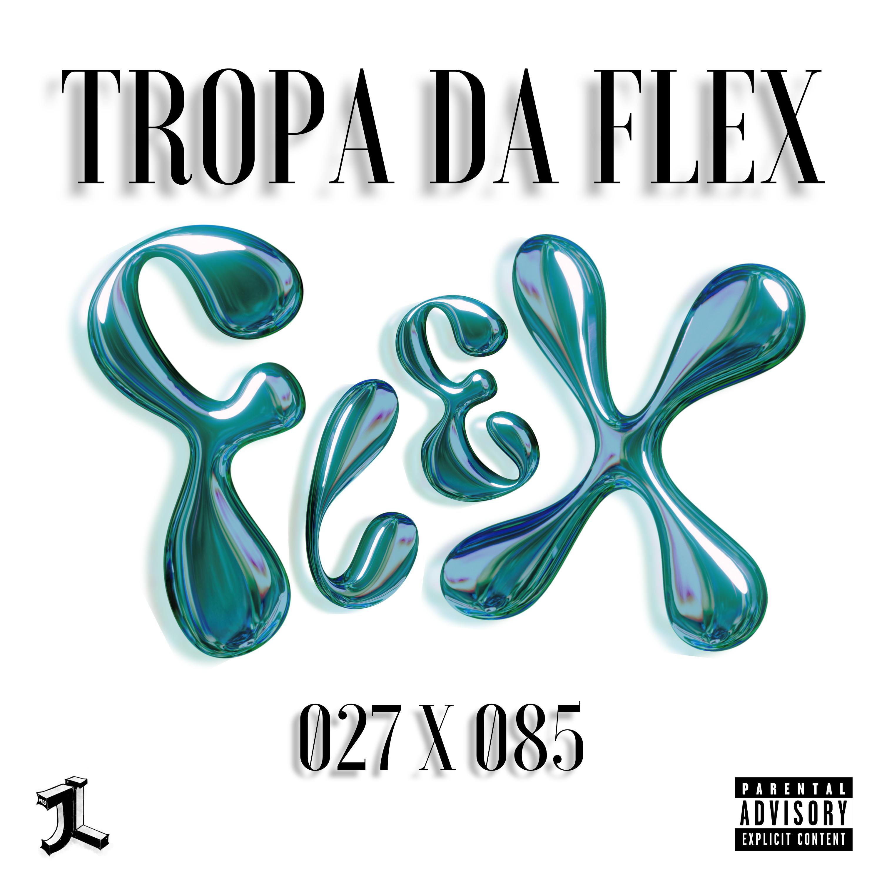 Постер альбома Tropa da Flex
