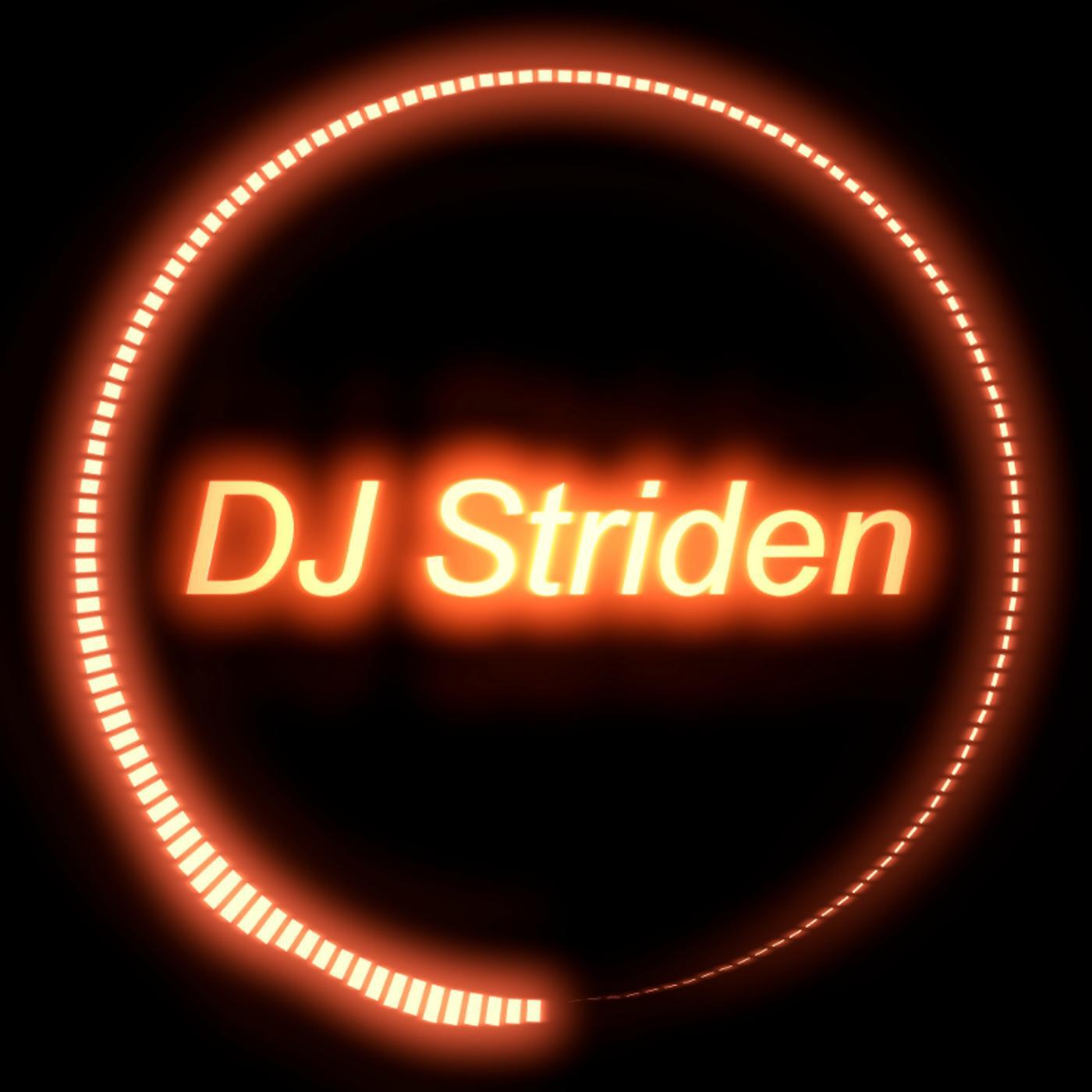 DJ Striden - End Zone