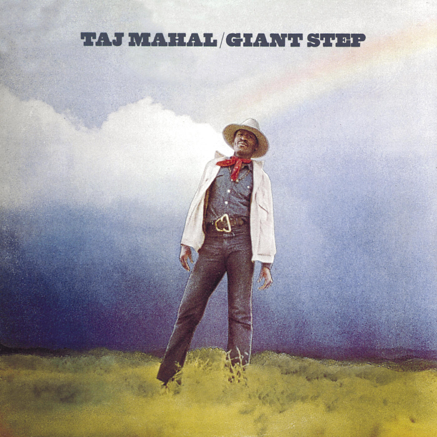 Taj Mahal - Wild Ox Moan