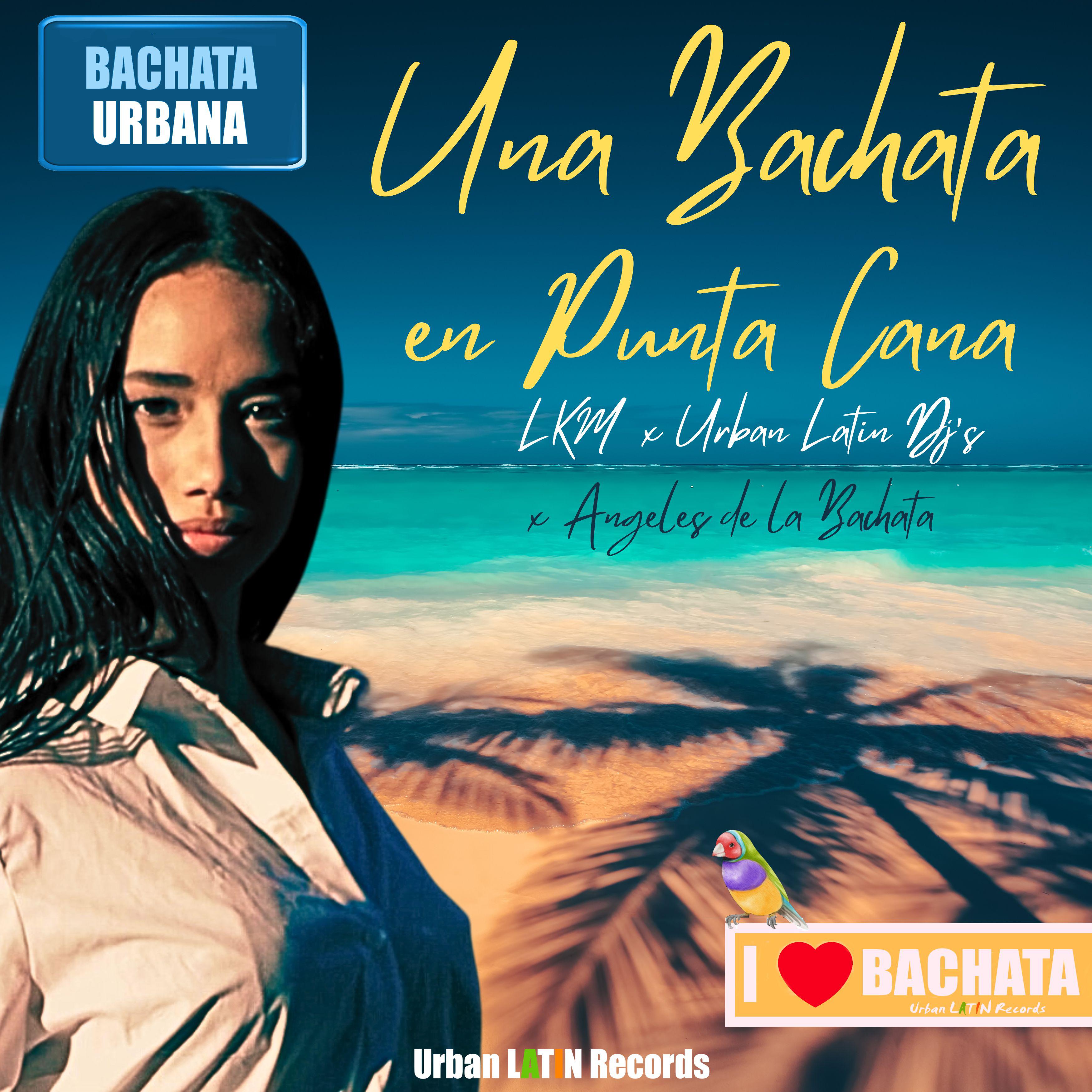Постер альбома Una Bachata en Punta Cana
