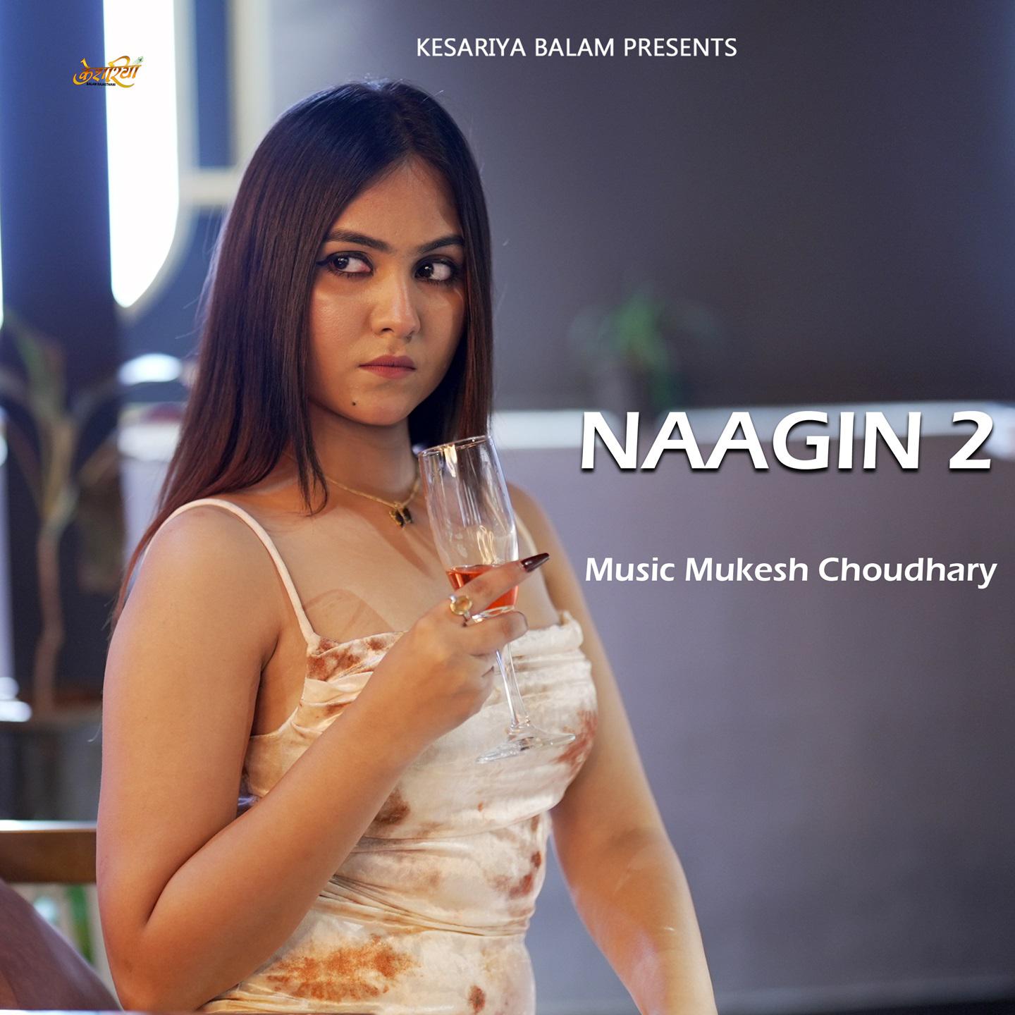 Постер альбома Naagin 2