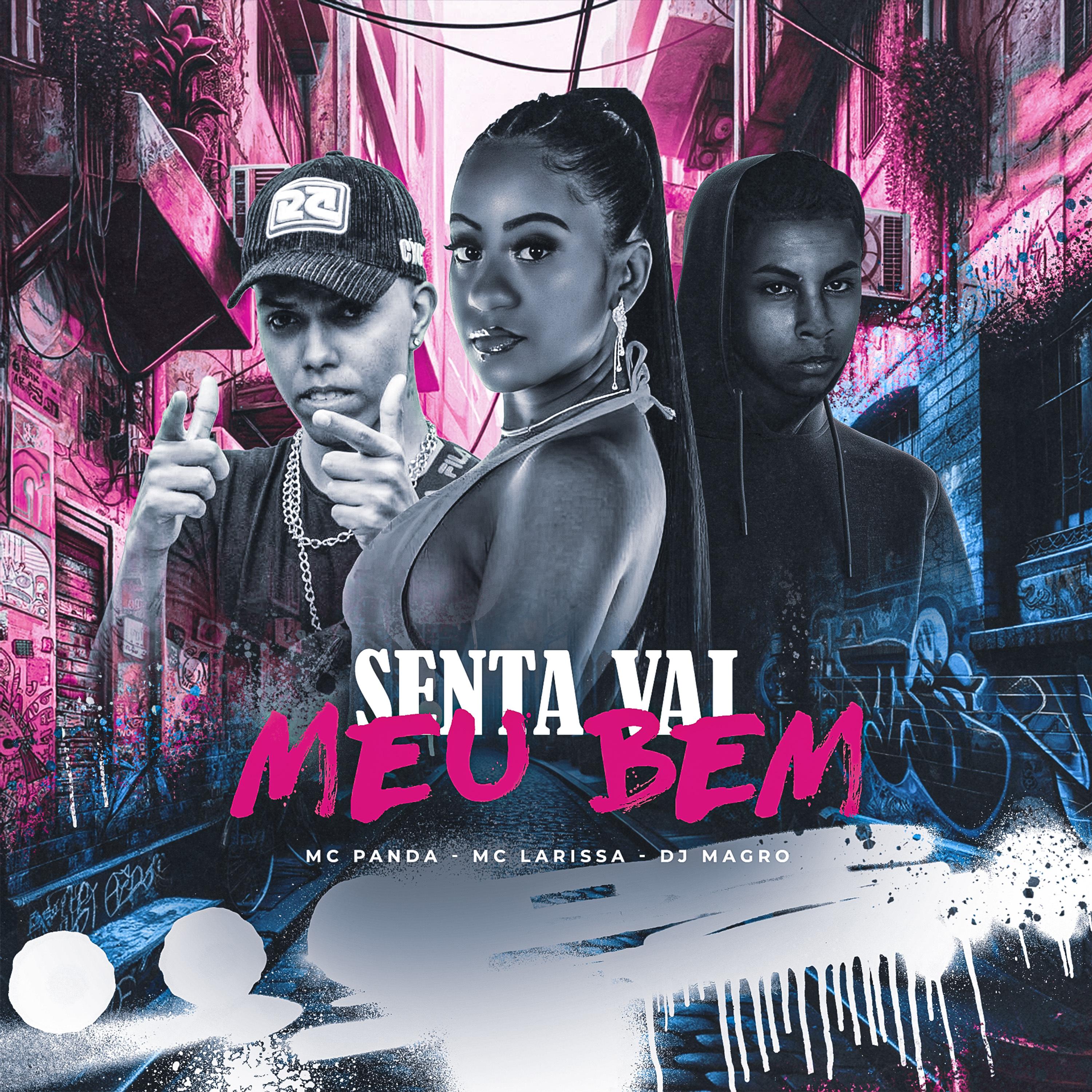 Постер альбома Senta Vai Meu Bem
