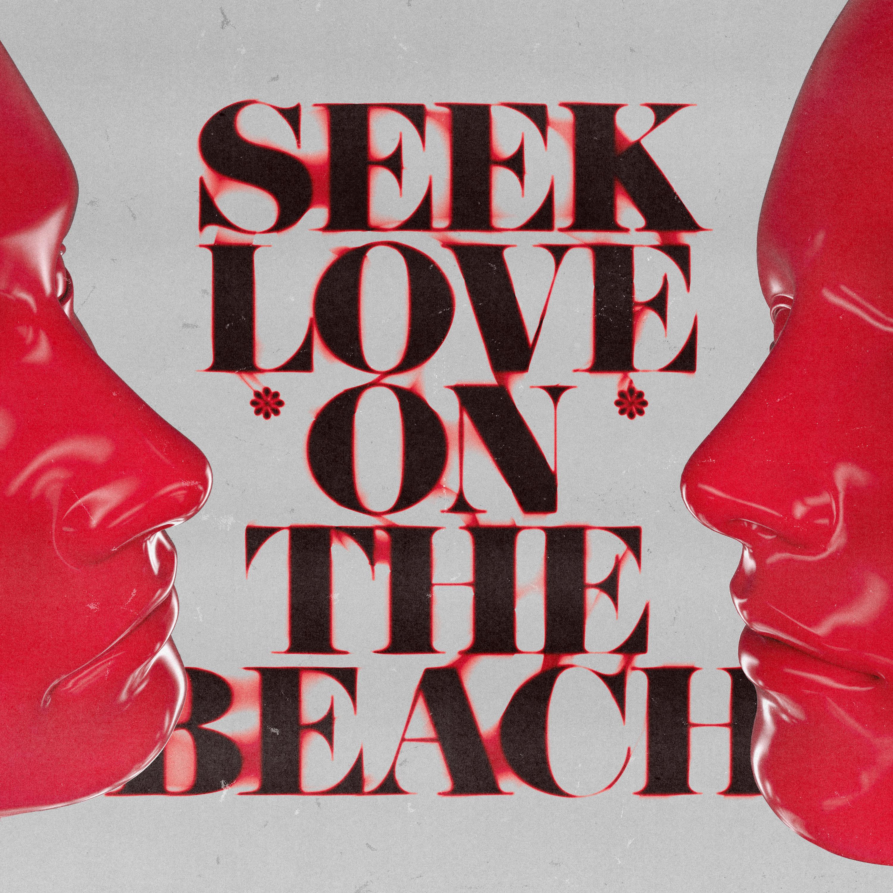 Постер альбома Seek Love [On the Beach]