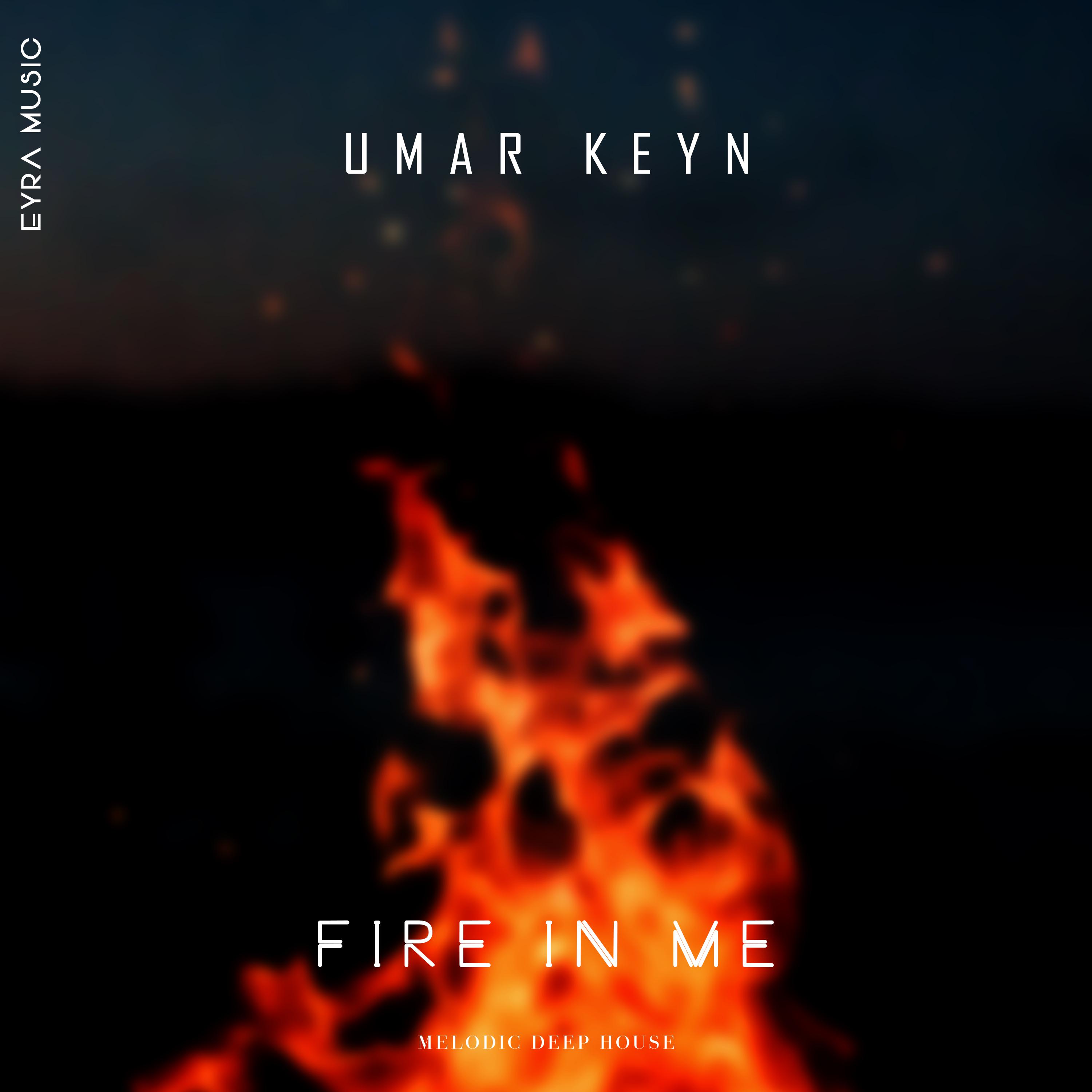 Постер альбома Fire in Me