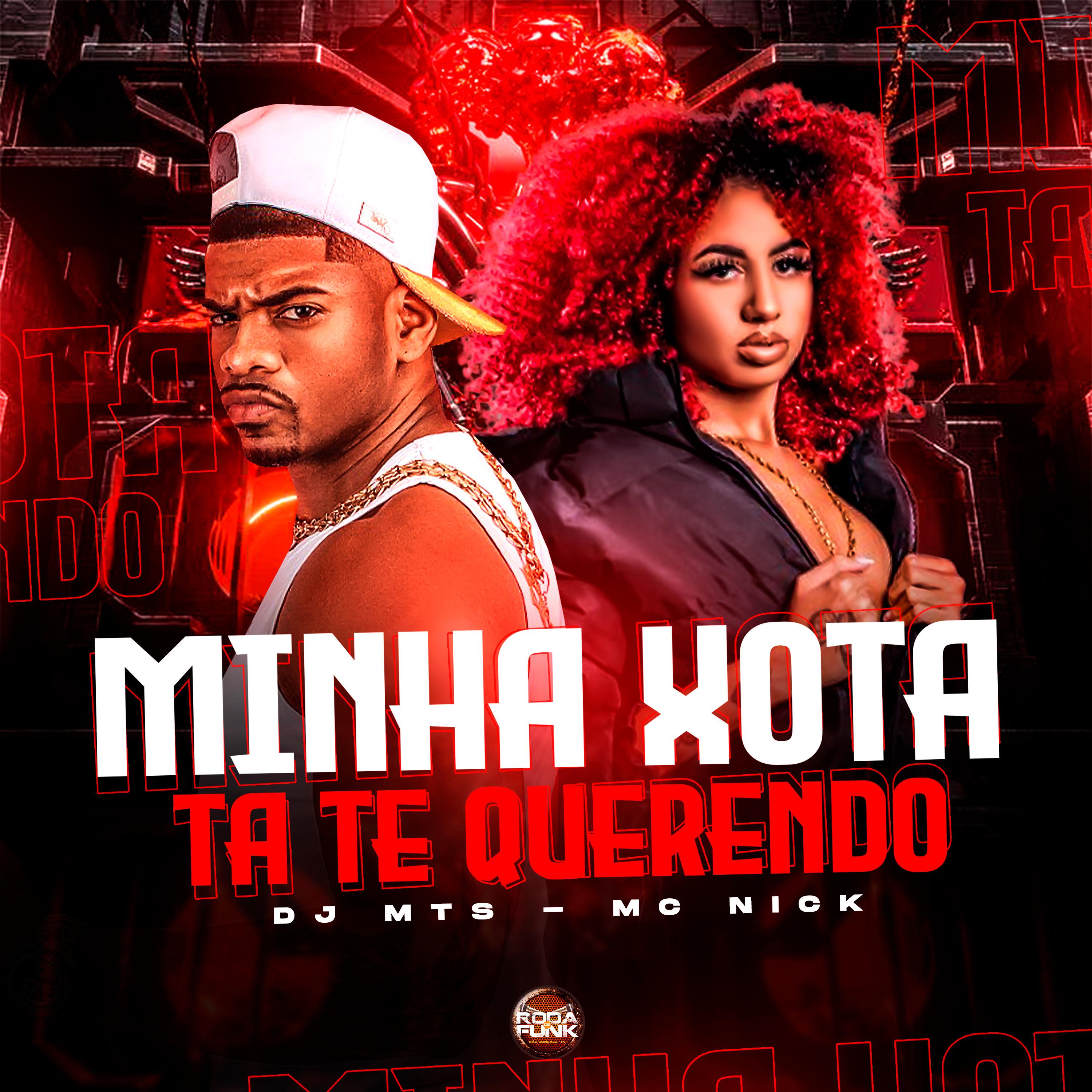 Постер альбома Minha Xota Ta Te Querendo