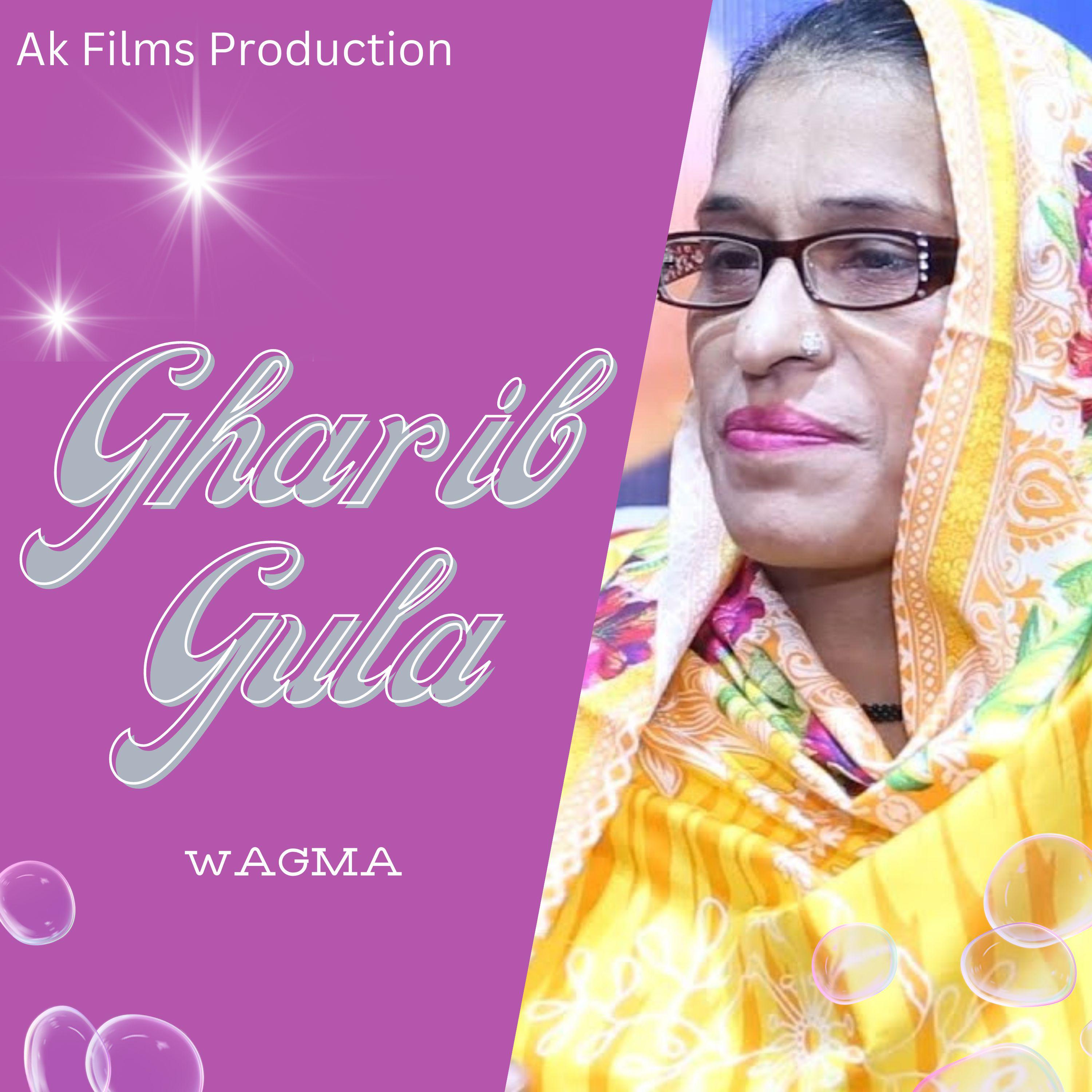 Постер альбома Gharib Gula