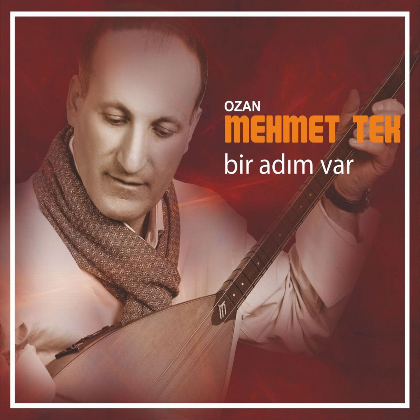 Постер альбома Bir Adım Var