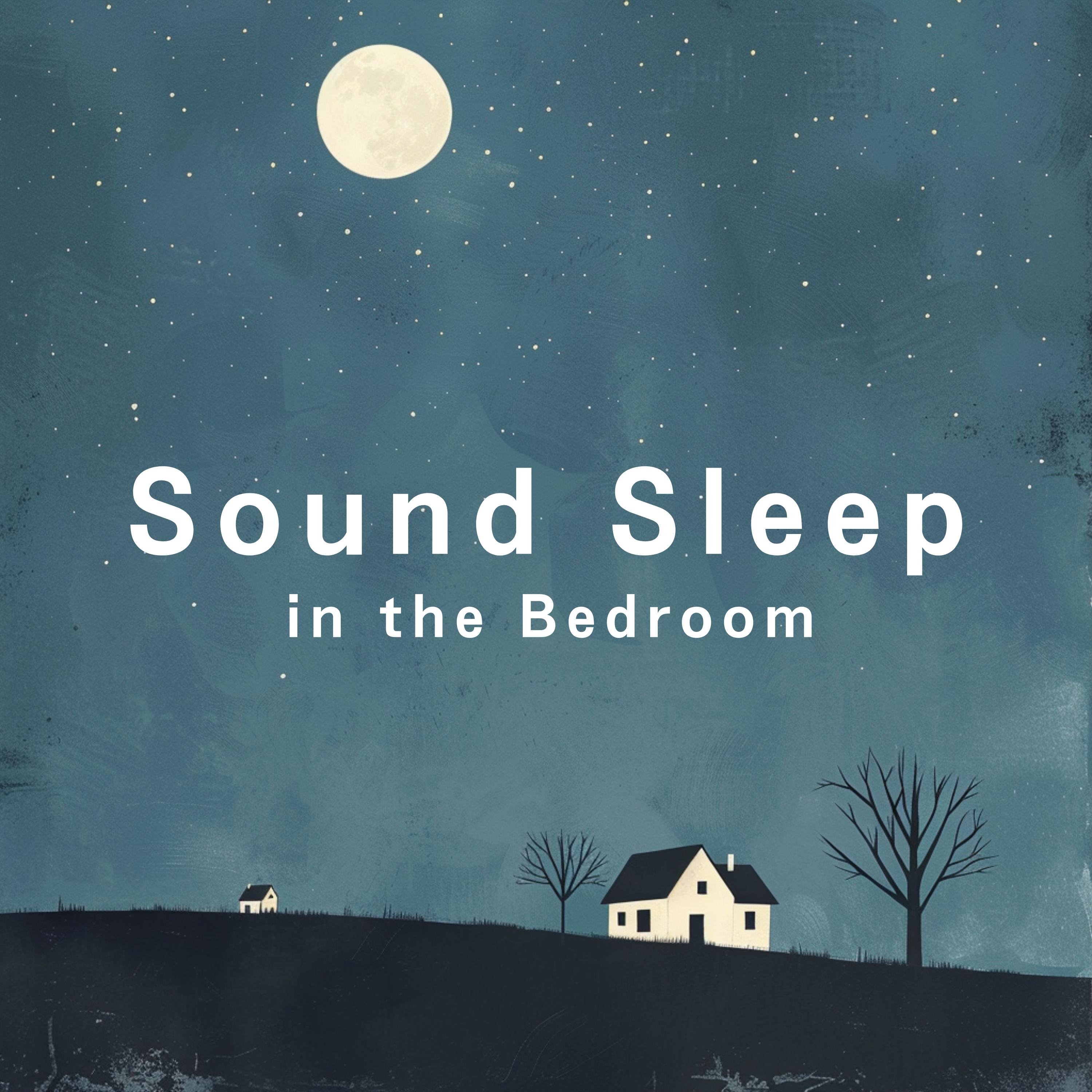 Постер альбома Sound Sleep in the Bedroom