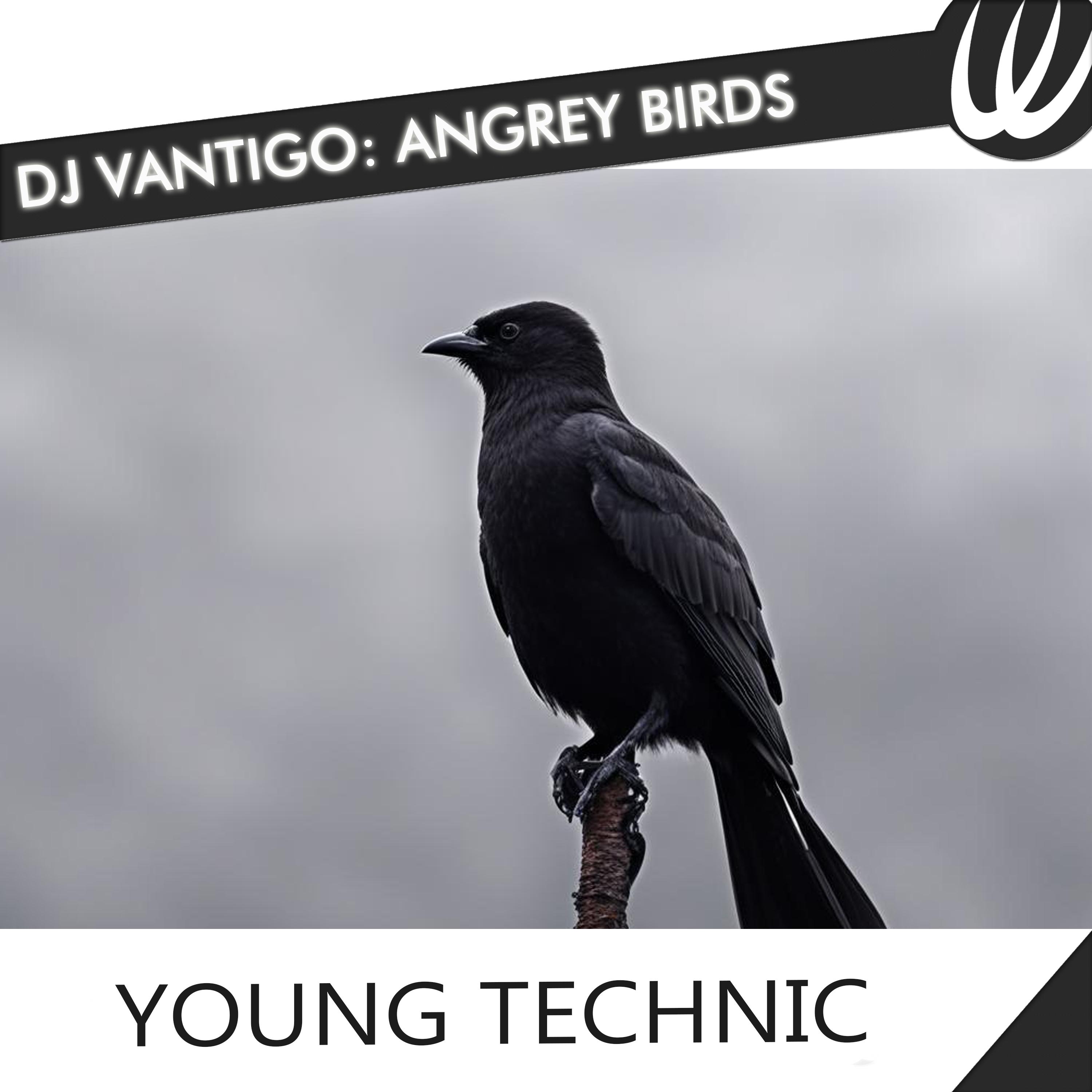 Постер альбома Angrey Birds